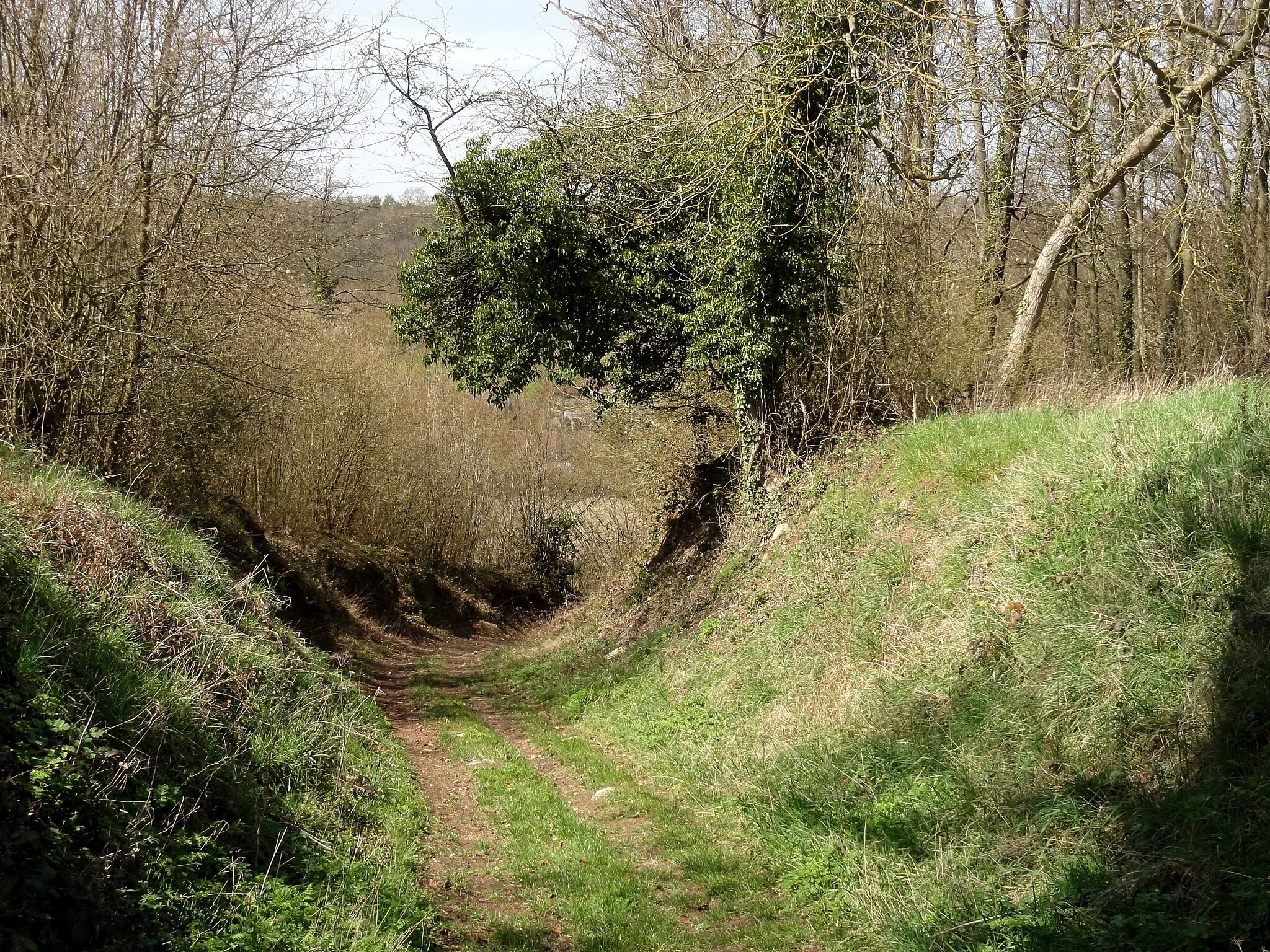 Photo showing: Cavée de Neuilly, à l'est du village.