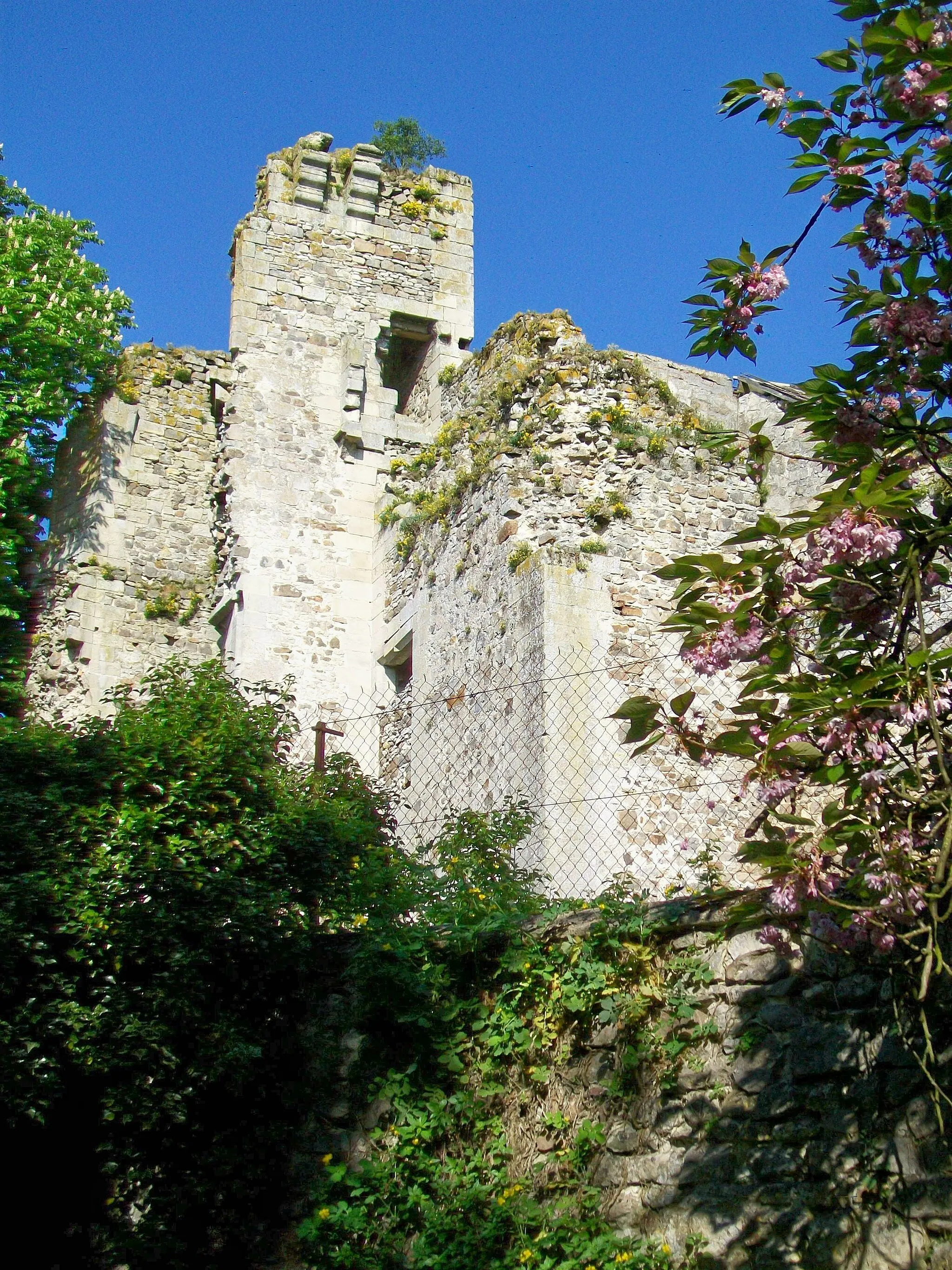 Photo showing: Autre vue des ruines du logis, depuis le nord-est.