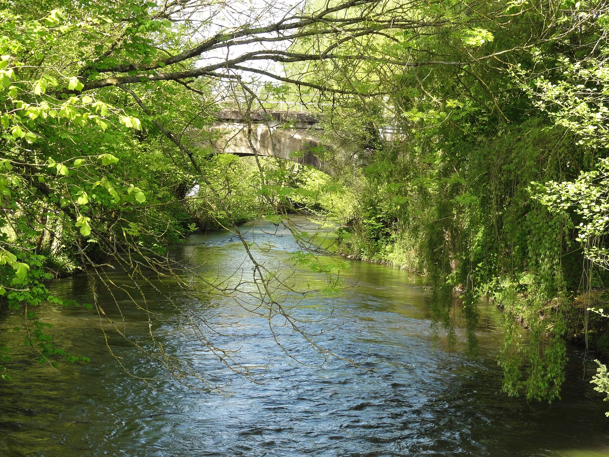 Photo showing: Barenton-sur-Serre (Aisne) rivière La Souche