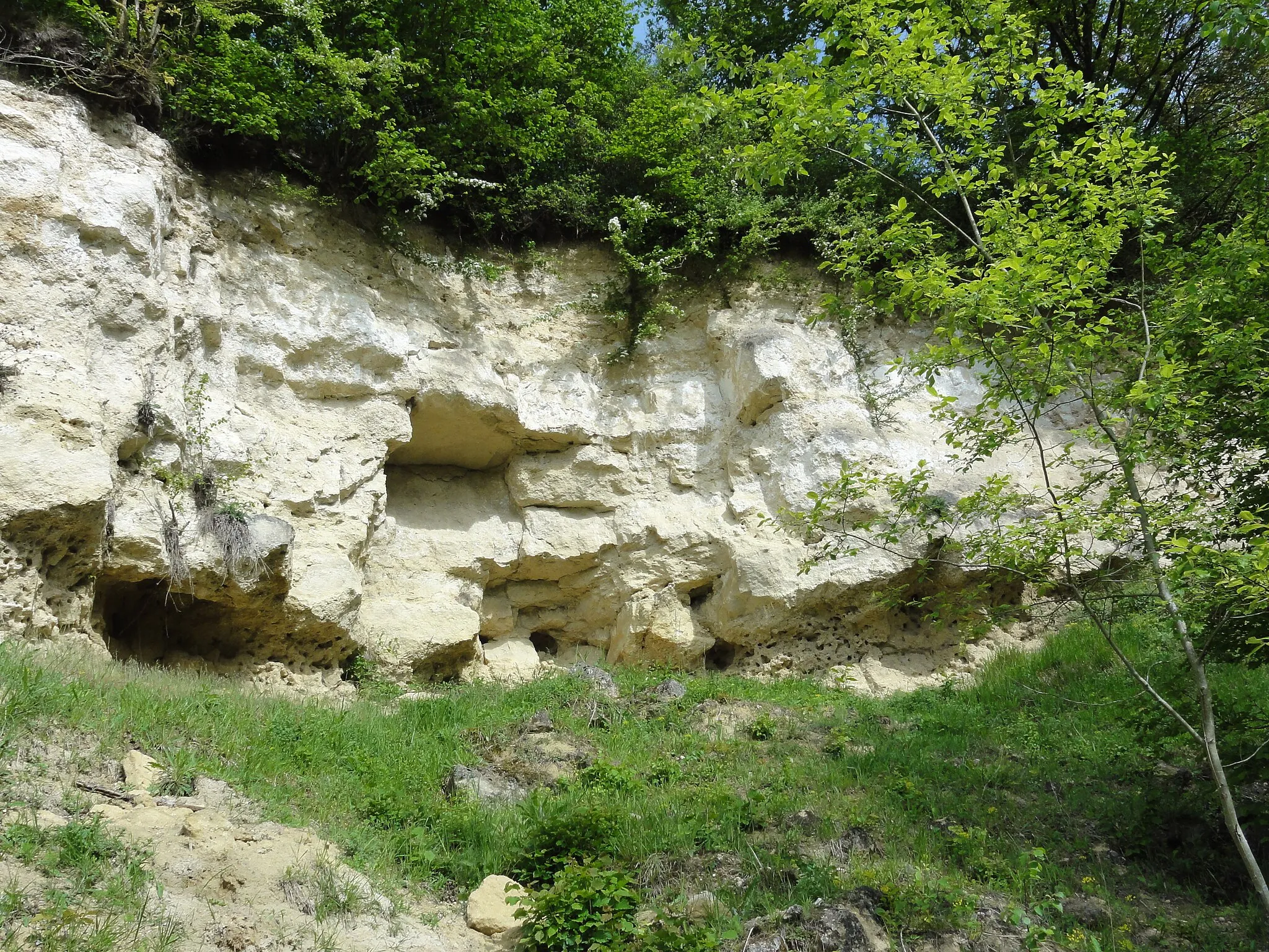 Photo showing: Montchâlons (Aisne) colline, détail roches
