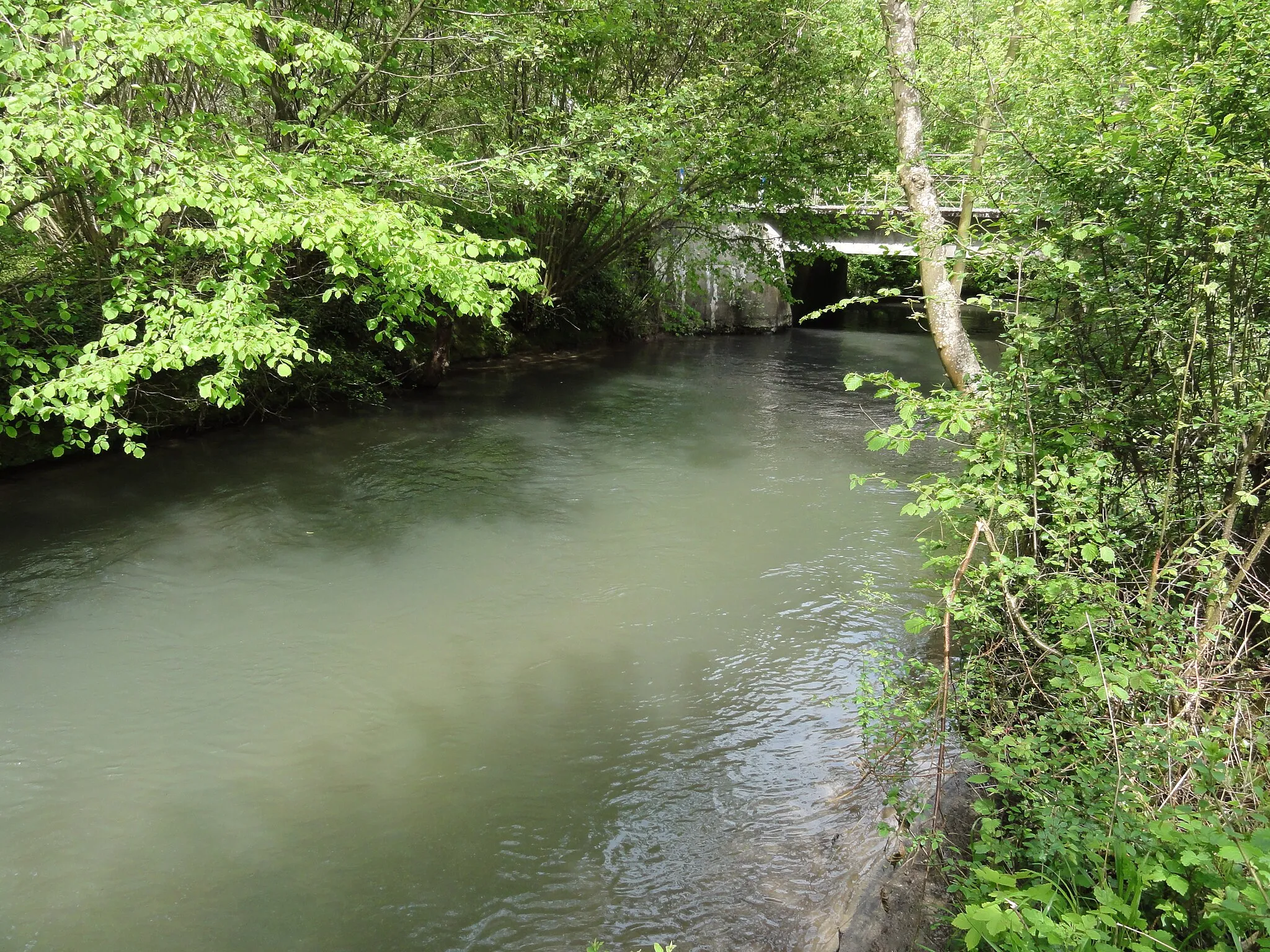 Photo showing: Mesbrecourt-Richecourt (Aisne) rivière le Péron