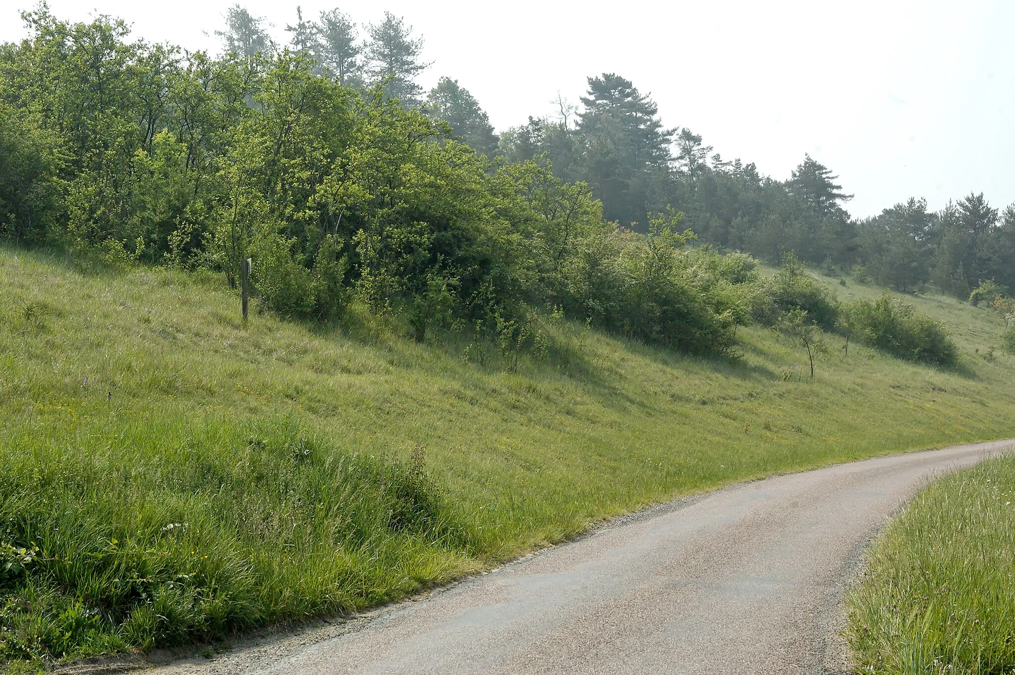 Photo showing: La butte Beaumont en descendant vers Condé-en-Brie: s'y trouvent les vestiges d'un site romain fortifié (maintenant privé).