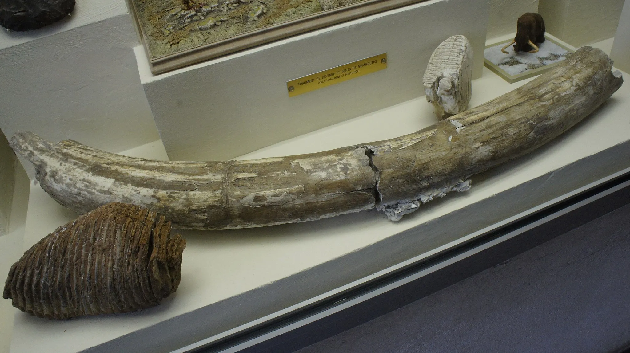 Photo showing: En la Salle archéologie Musée Saint-Remi