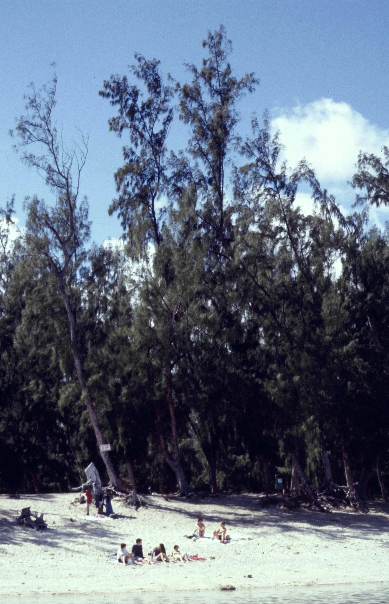 Photo showing: La Reunion L'Hermitage-Les-Bains Plage 081996