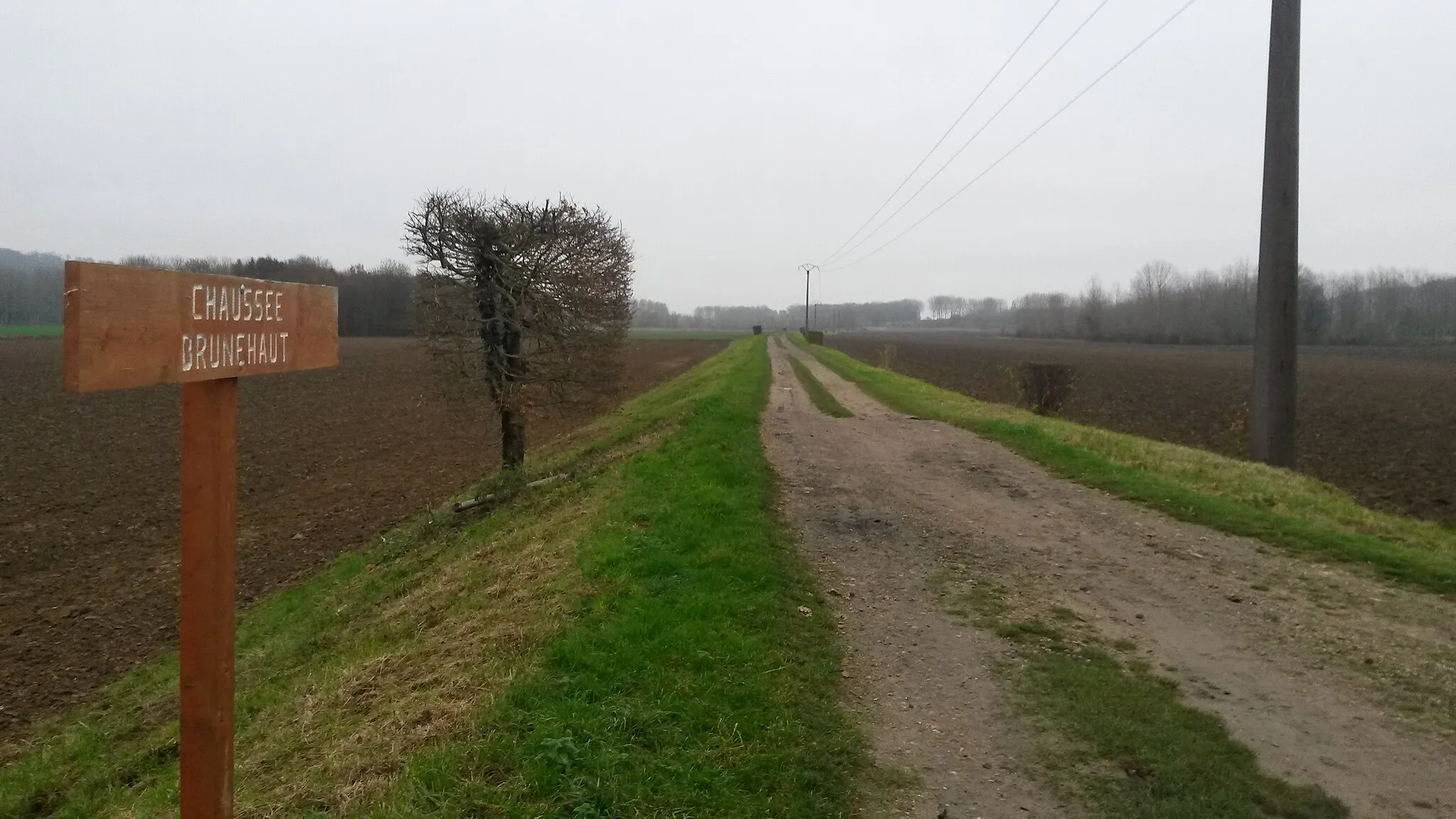 Photo showing: vue sur la chaussée brunehaut