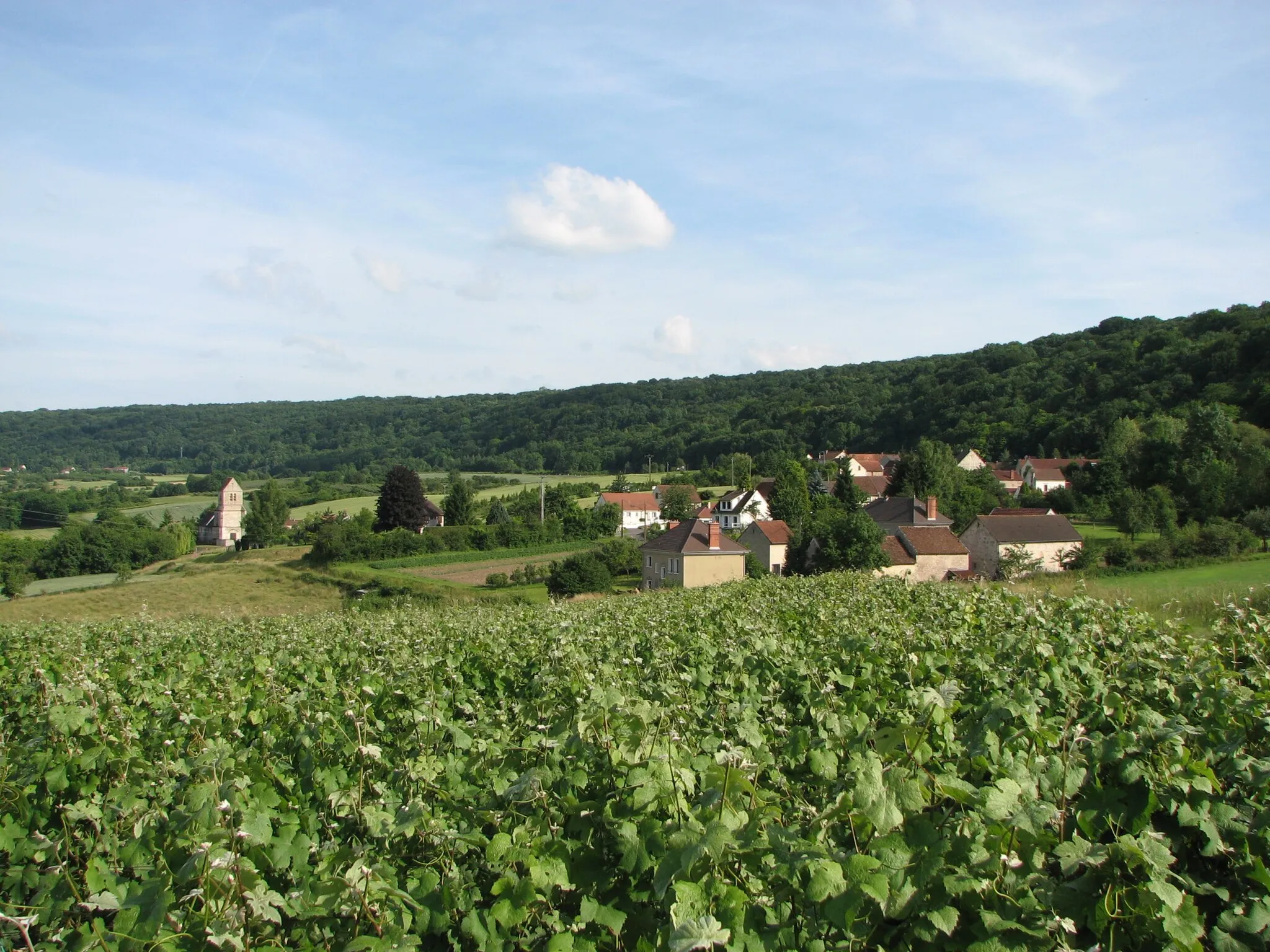 Photo showing: view of Reuilly village, Reuilly-Sauvigny in the departement of Aisne (France)