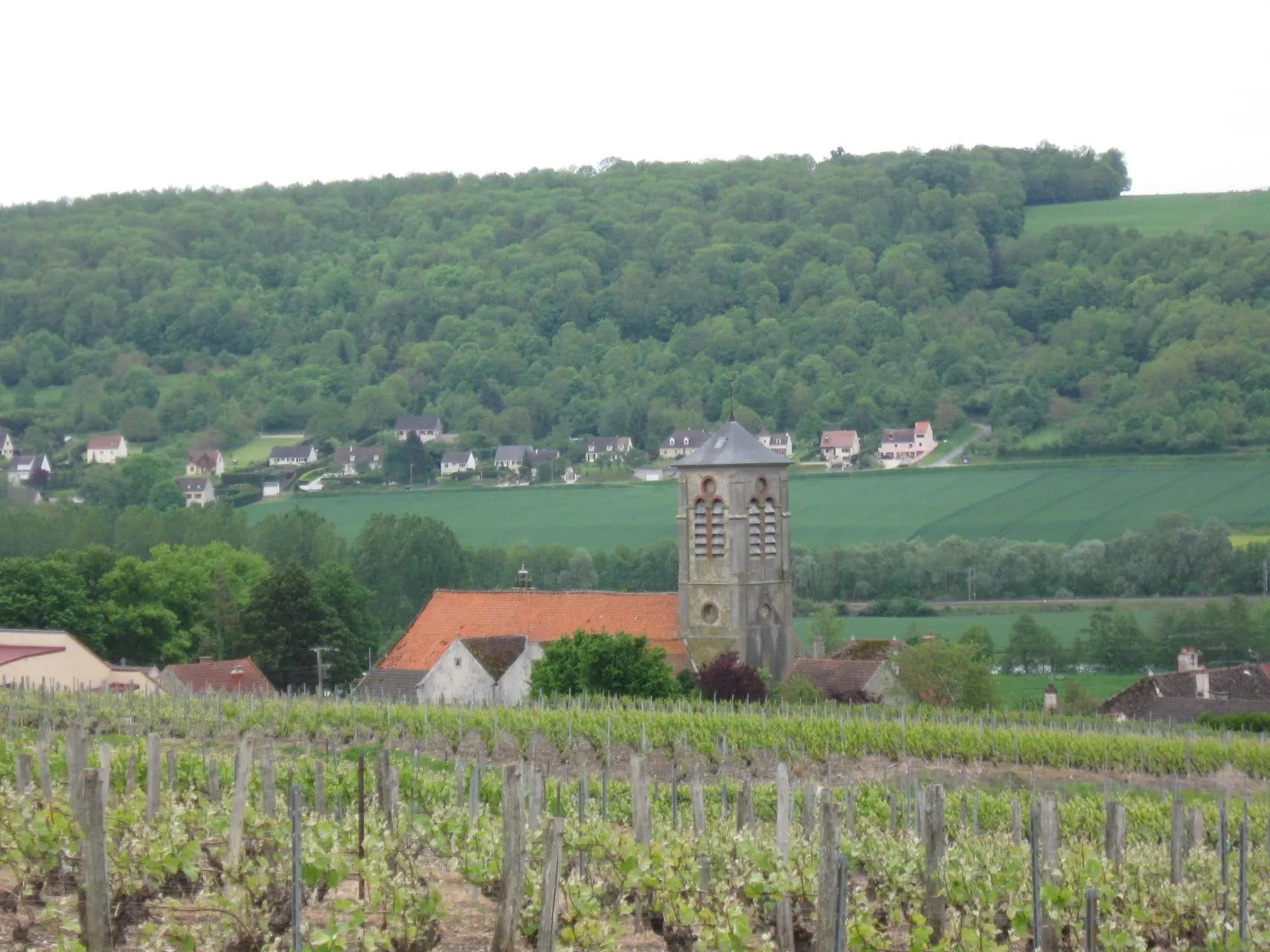 Photo showing: Vignobles et église St-Sébastien de Saulchery (Aisne , ancienne région Picardie.)