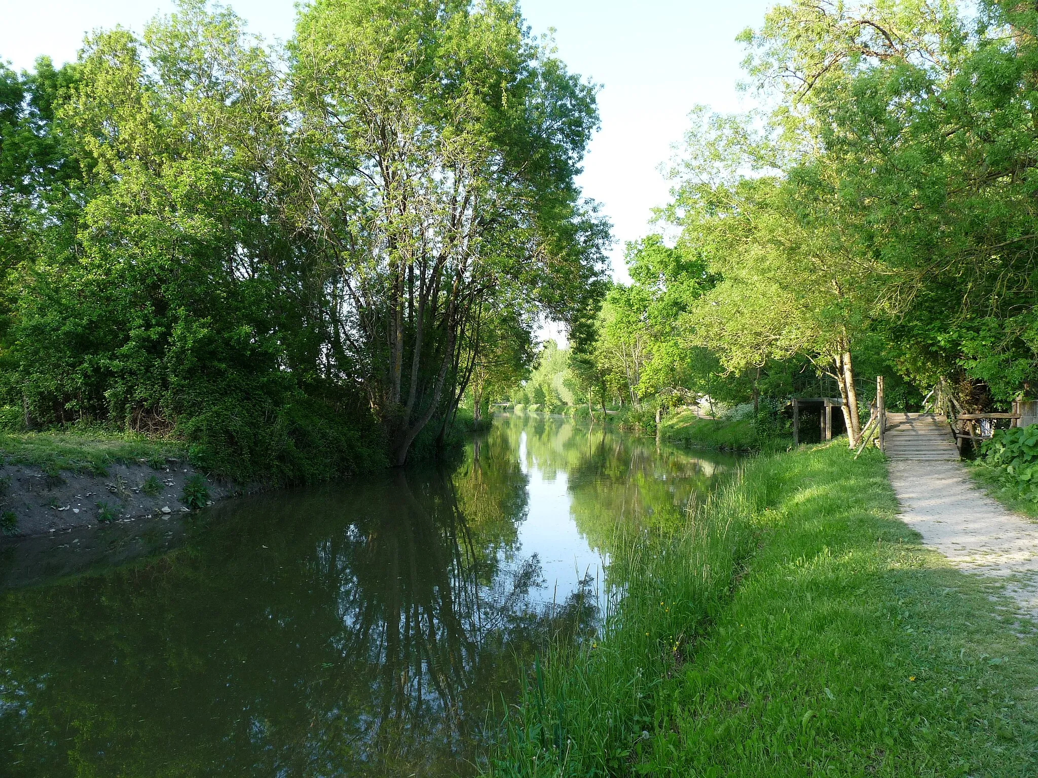 Photo showing: Marais poitevin near Arçais (Deux-Sèvres)