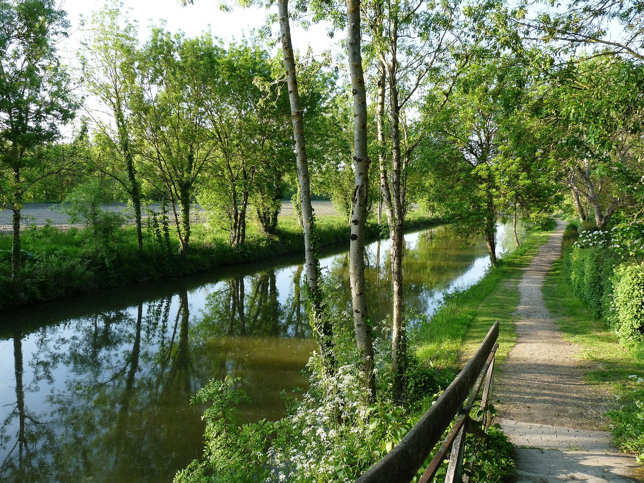 Photo showing: Marais poitevin near Arçais (Deux-Sèvres)