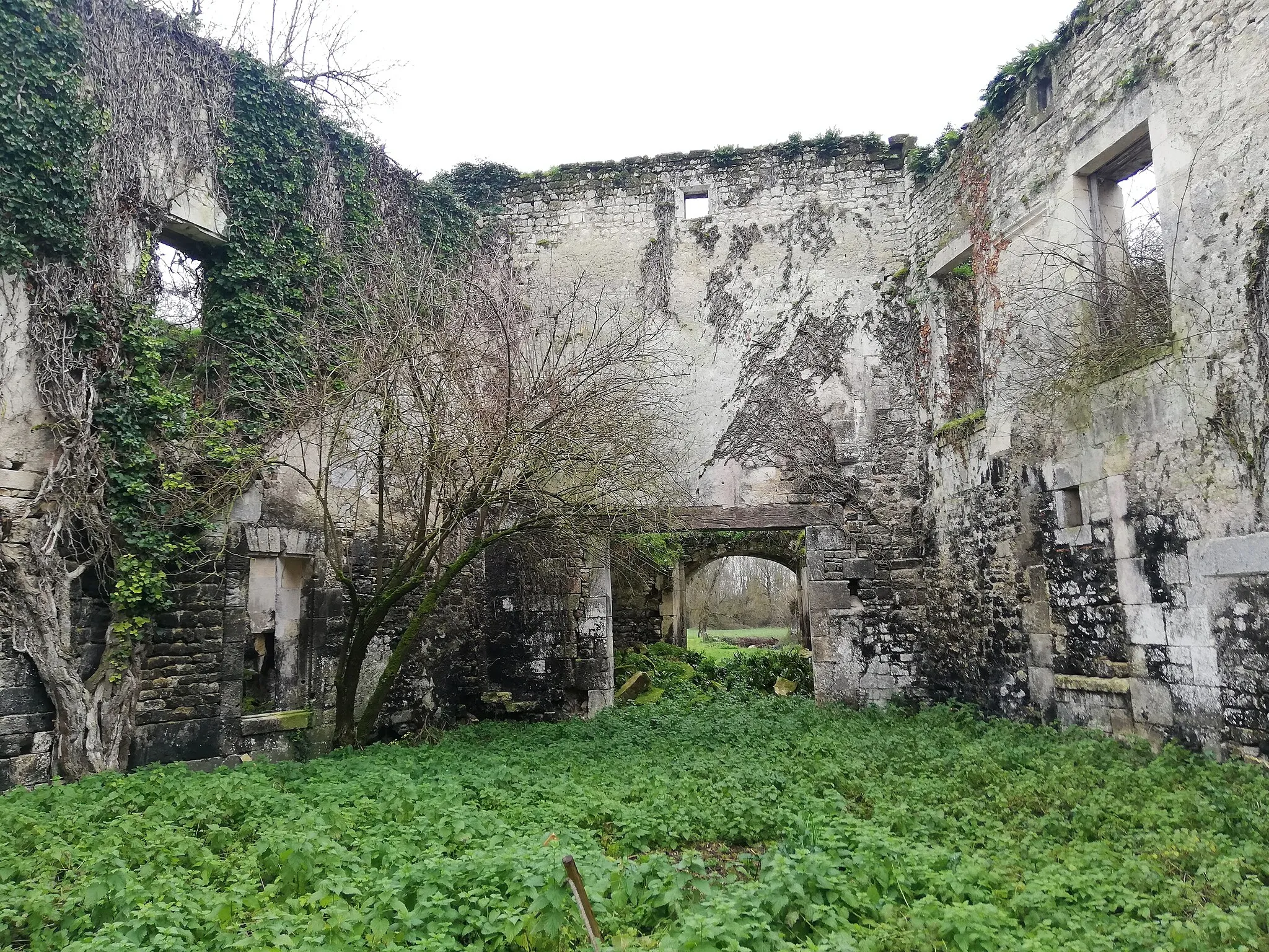 Photo showing: Vestiges du château de Vibrac, Charente, France. Intérieur, vu vers le sud.