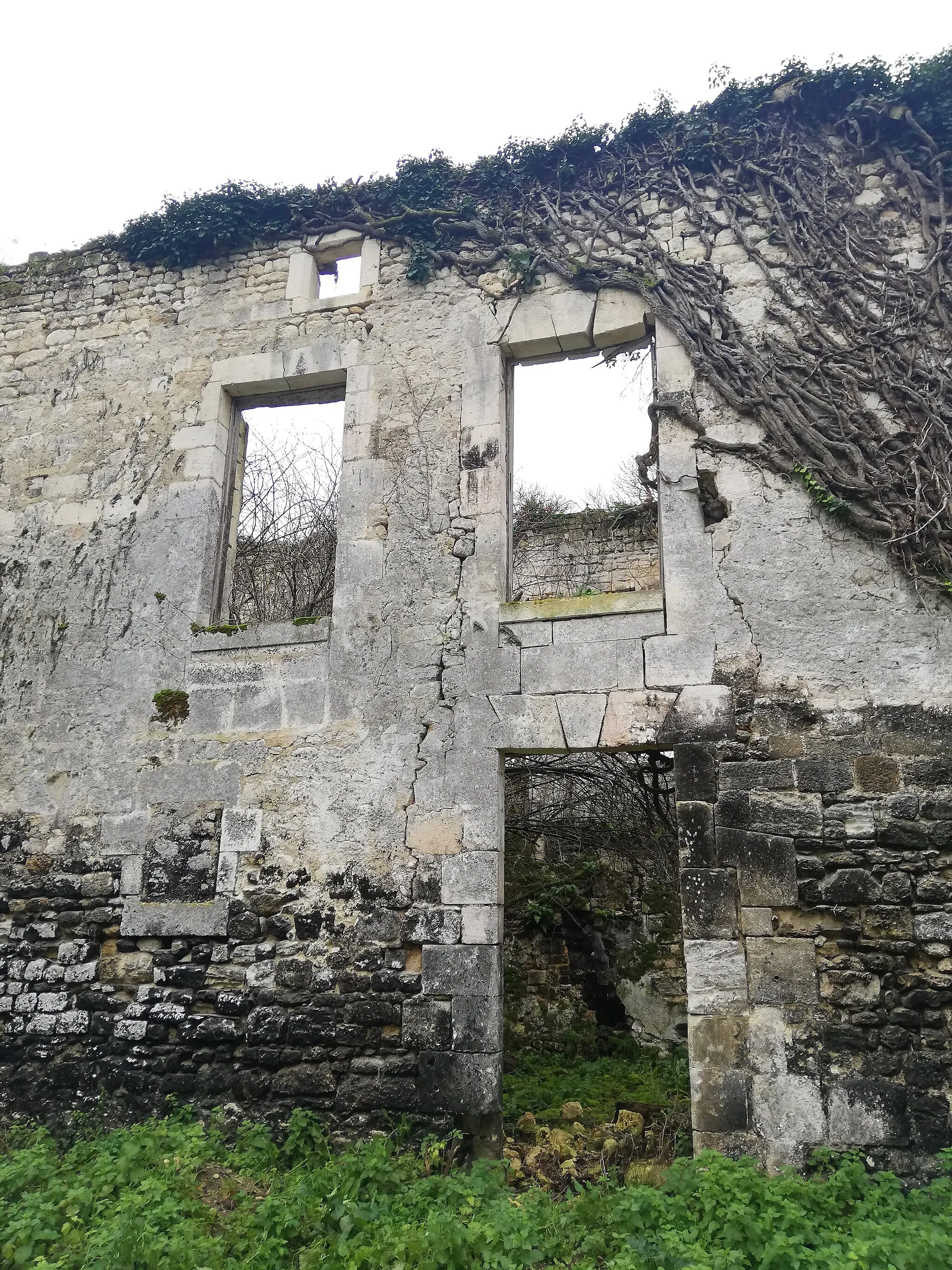 Photo showing: Vestiges du château de Vibrac, Charente, France. Aile nord-ouest vue de l'est.