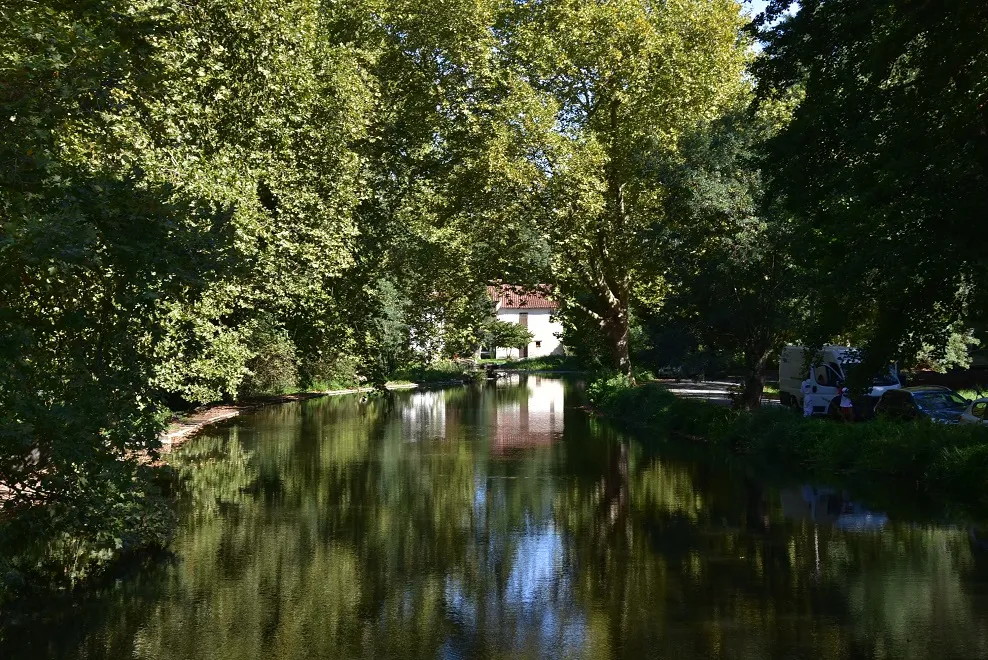 Photo showing: Reflets végétation sur Sèvre Niortaise, aux alentours écluse de la Roussille.