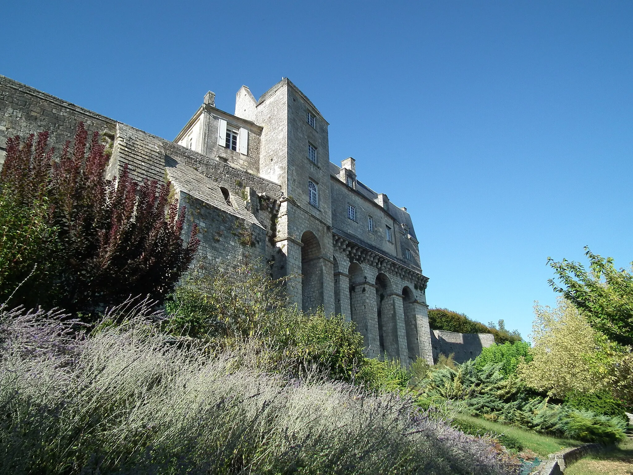 Photo showing: Le château de Pons