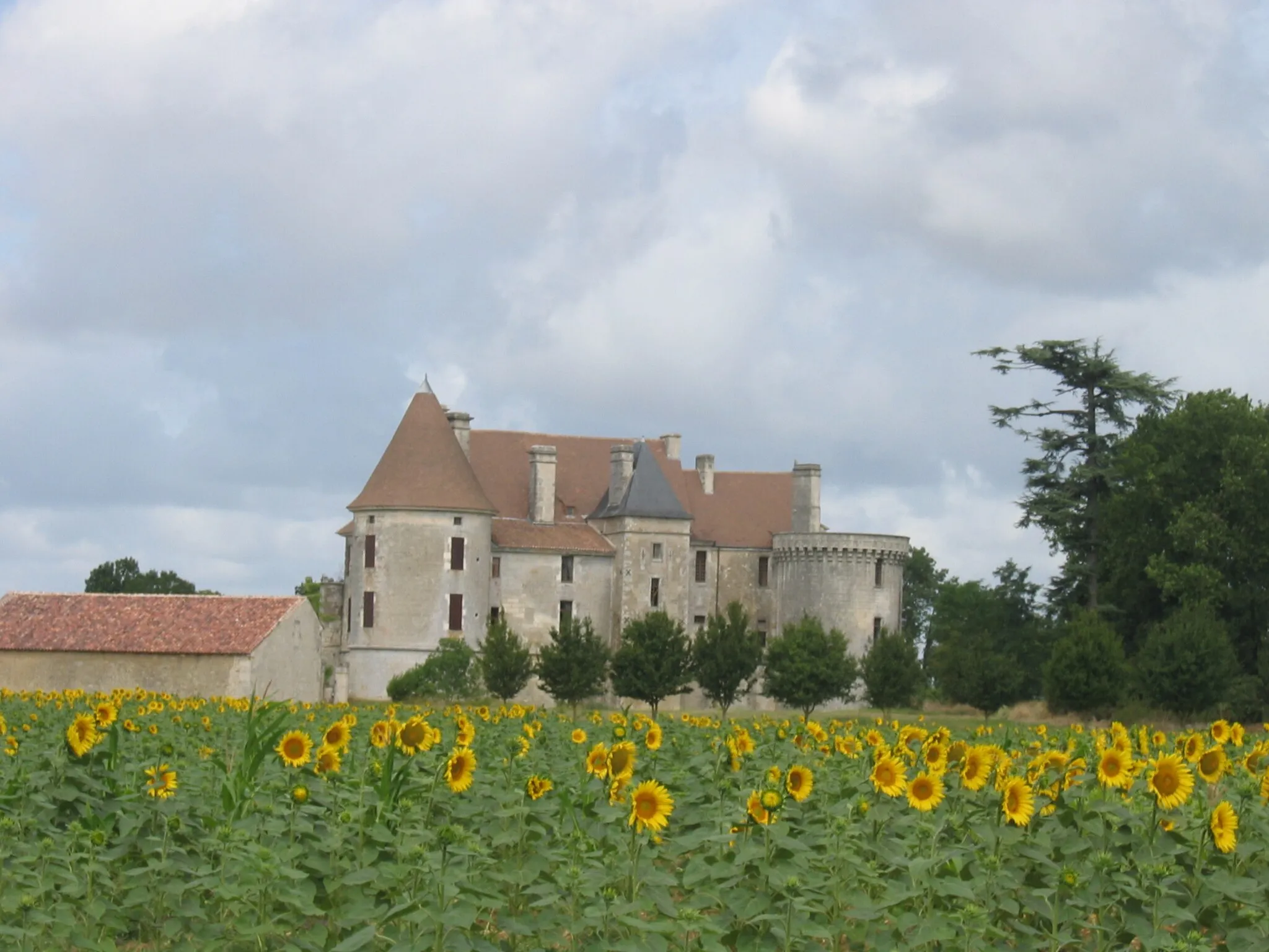 Photo showing: Château de Rioux