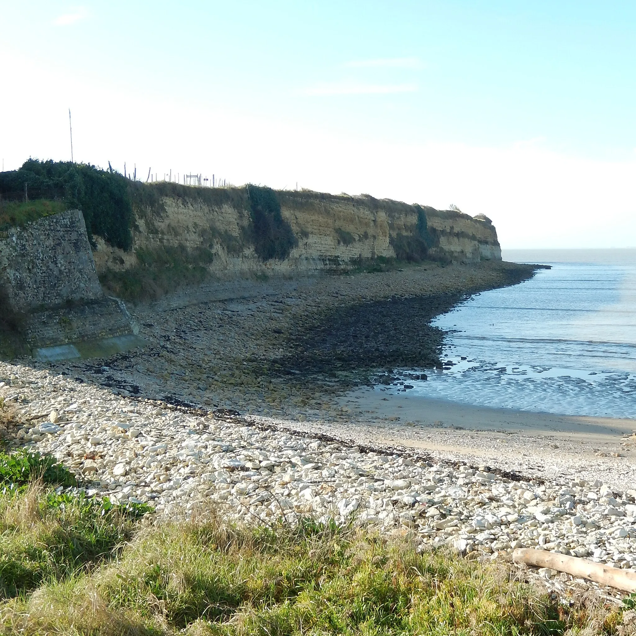 Photo showing: La pointe du Rocher, à Yves (Charente-Maritime, France).