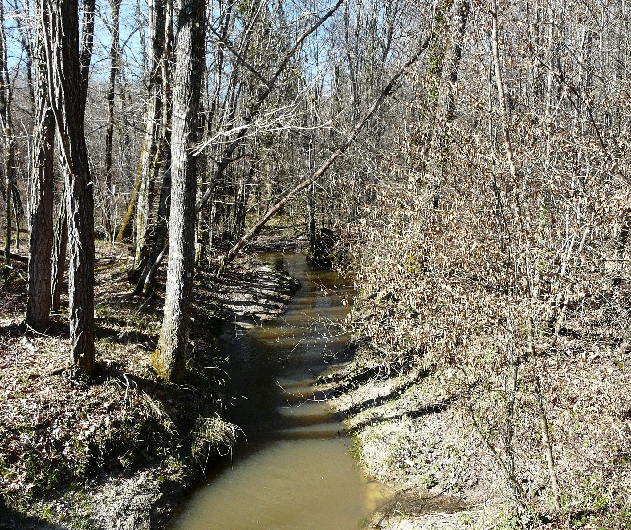 Photo showing: La Petite Duche en amont du pont de la route départementale 41, en limites d'Eygurande-et-Gardedeuil (à gauche) et de Servanches (à droite), Dordogne, France.