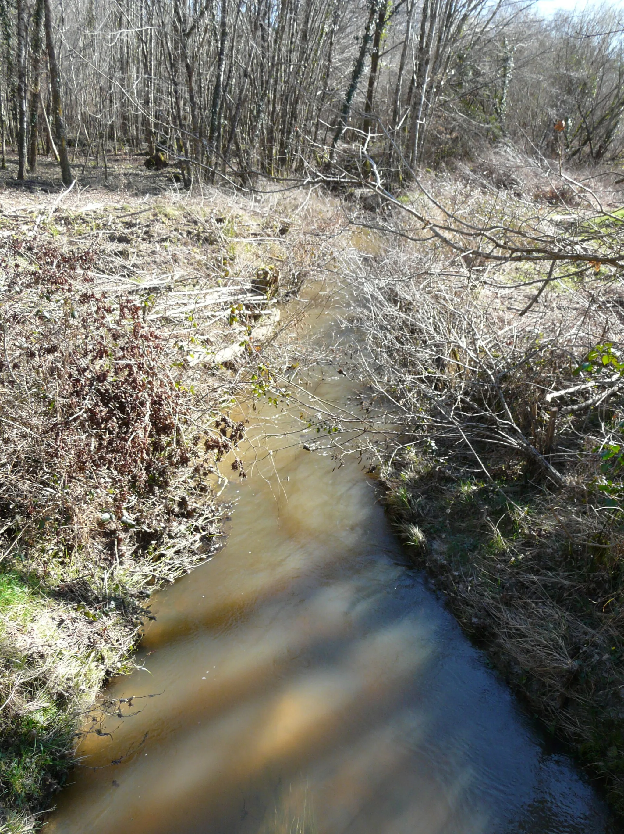 Photo showing: La Petite Duche en aval du pont de la route départementale 41, en limites de Servanches (à gauche) et d'Eygurande-et-Gardedeuil (à droite), Dordogne, France.