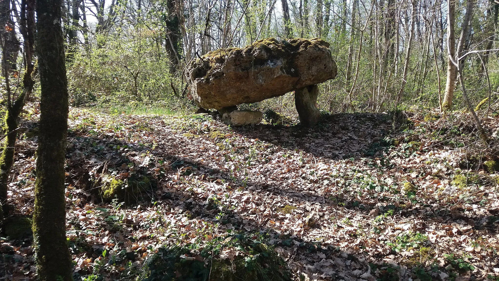 Photo showing: Dolmen de Coubernard Saint-Aigny Dolmen de la Pierre du Charnier ou Dolmen de la Pierre du Loup