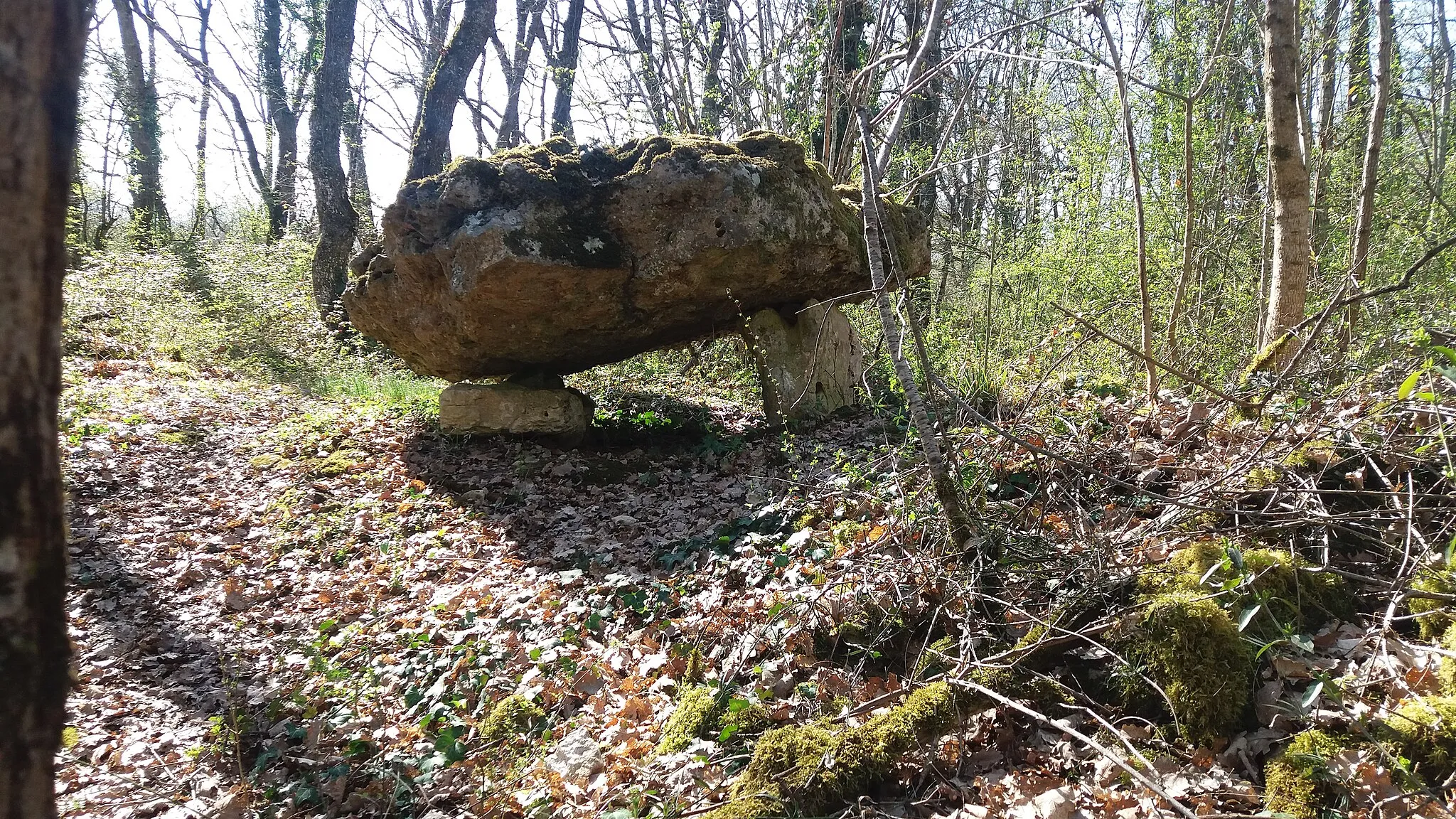 Photo showing: Dolmen de CouBernard à Saint-Aigny 36300 Nommé aussi Dolmen de la Pierre du Charnier ou Dolmen de la Pierre à Loup