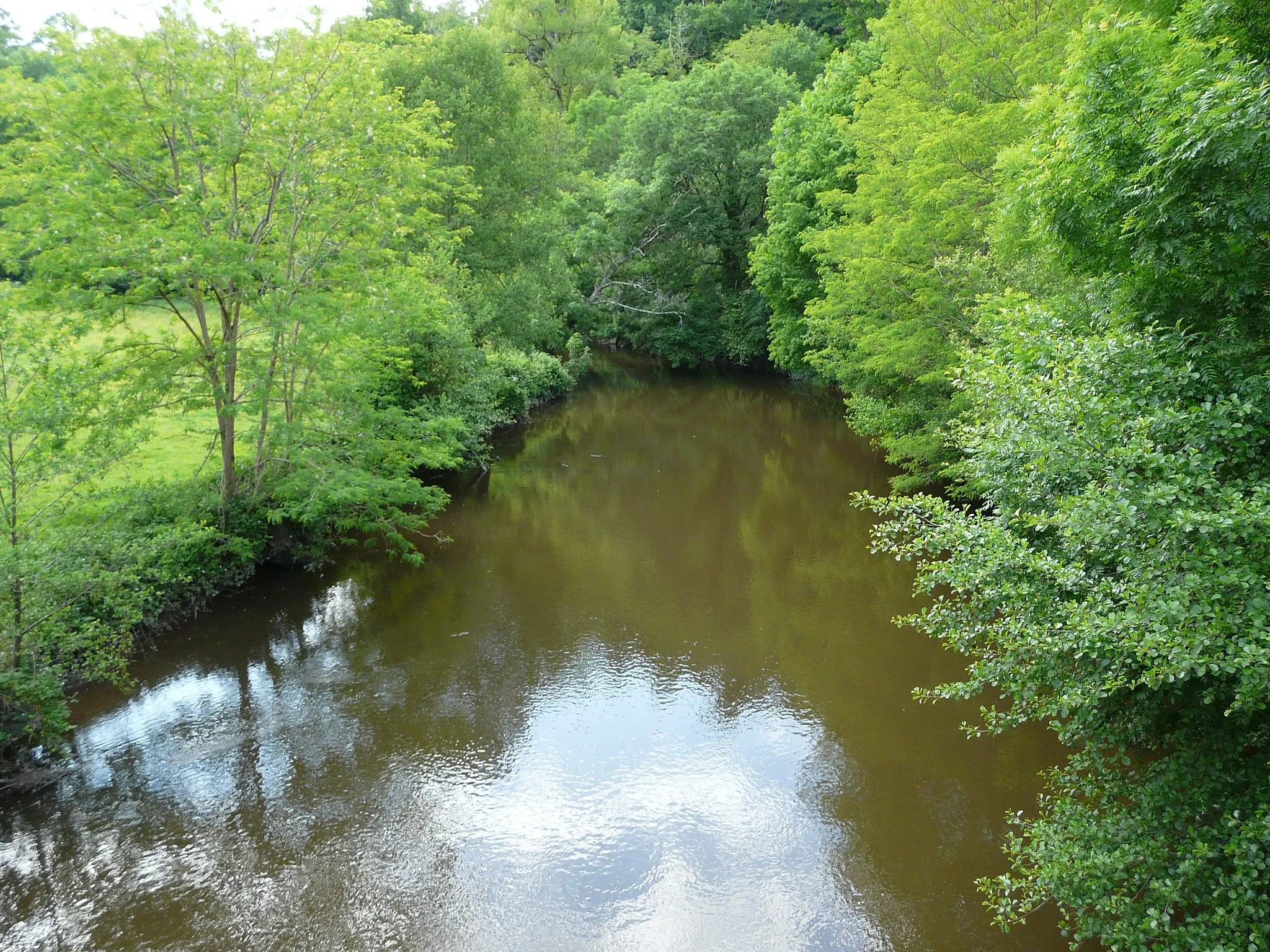 Photo showing: La Tardoire en aval du pont qui relie la route départementale (RD) 3 (commune de Bussière-Badil, en Dordogne à gauche) et la RD 112 (commune d'Écuras, en Charente à droite).