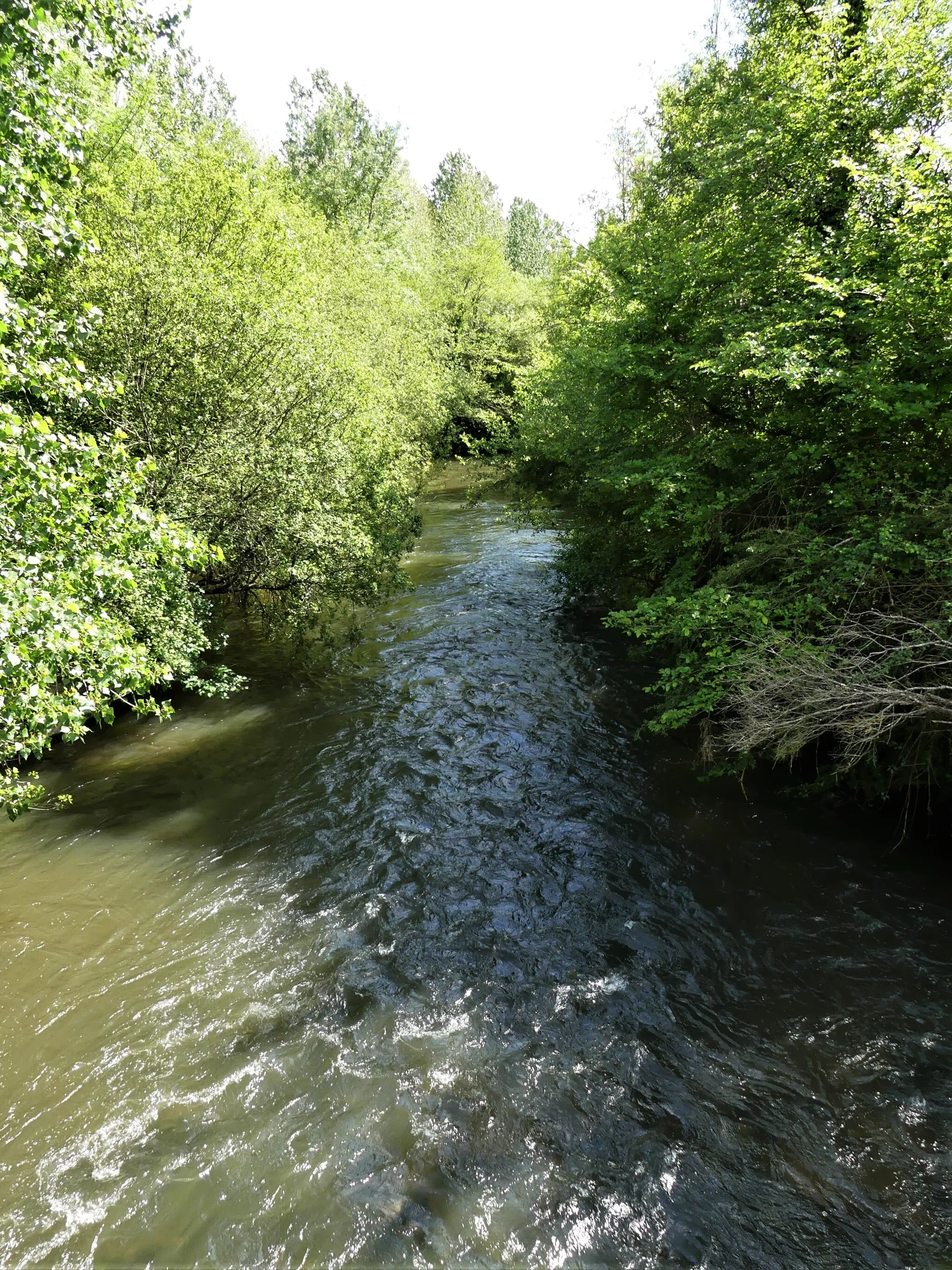 Photo showing: La Lizonne au pont marquant la limite entre Nanteuil-Auriac-de-Bourzac (RD 1, Dordogne, à gauche) et Salles-Lavalette (RD 24, Charente, à droite) , France. Vue prise en direction de l'aval.