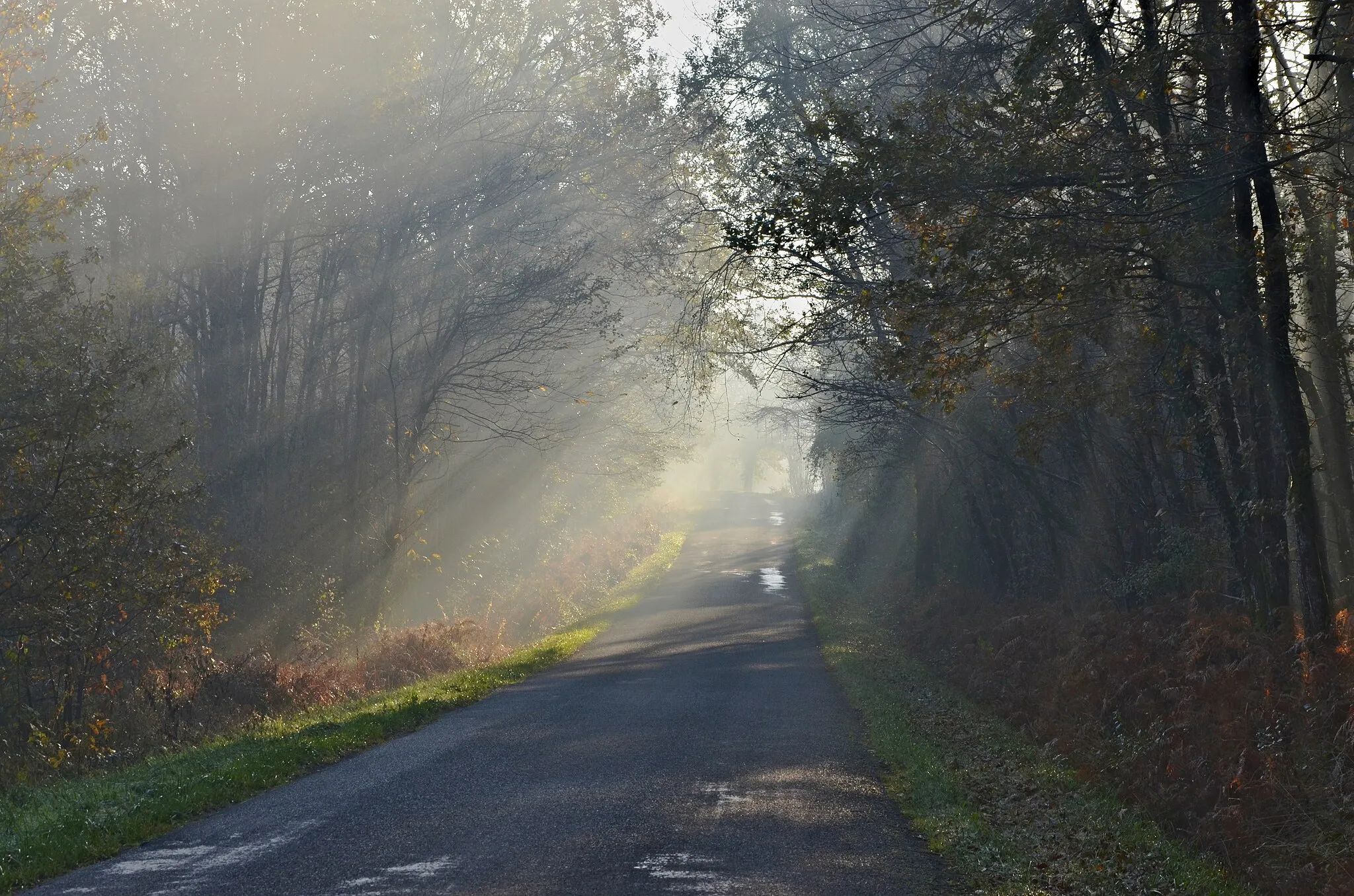 Photo showing: Country road D 19 on a hazy morning, near Juillaguet, Charente, France.