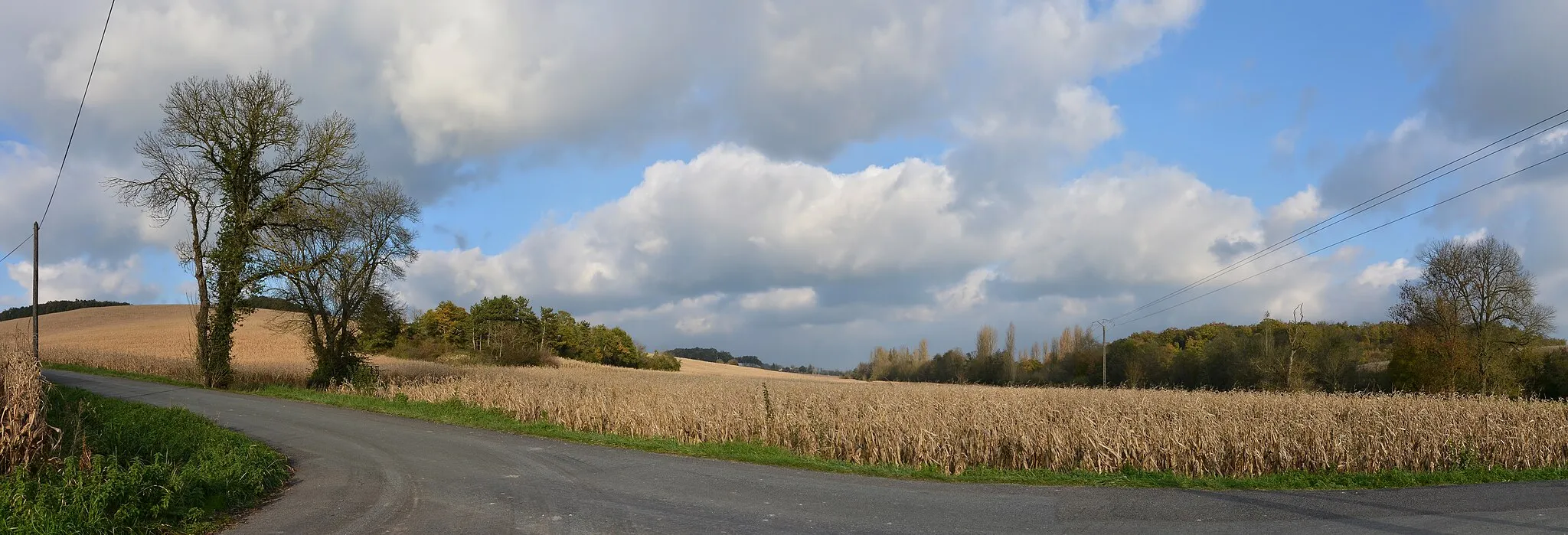 Photo showing: Country crossroad and corn fields on road D 141, Nonac, Charente, France.