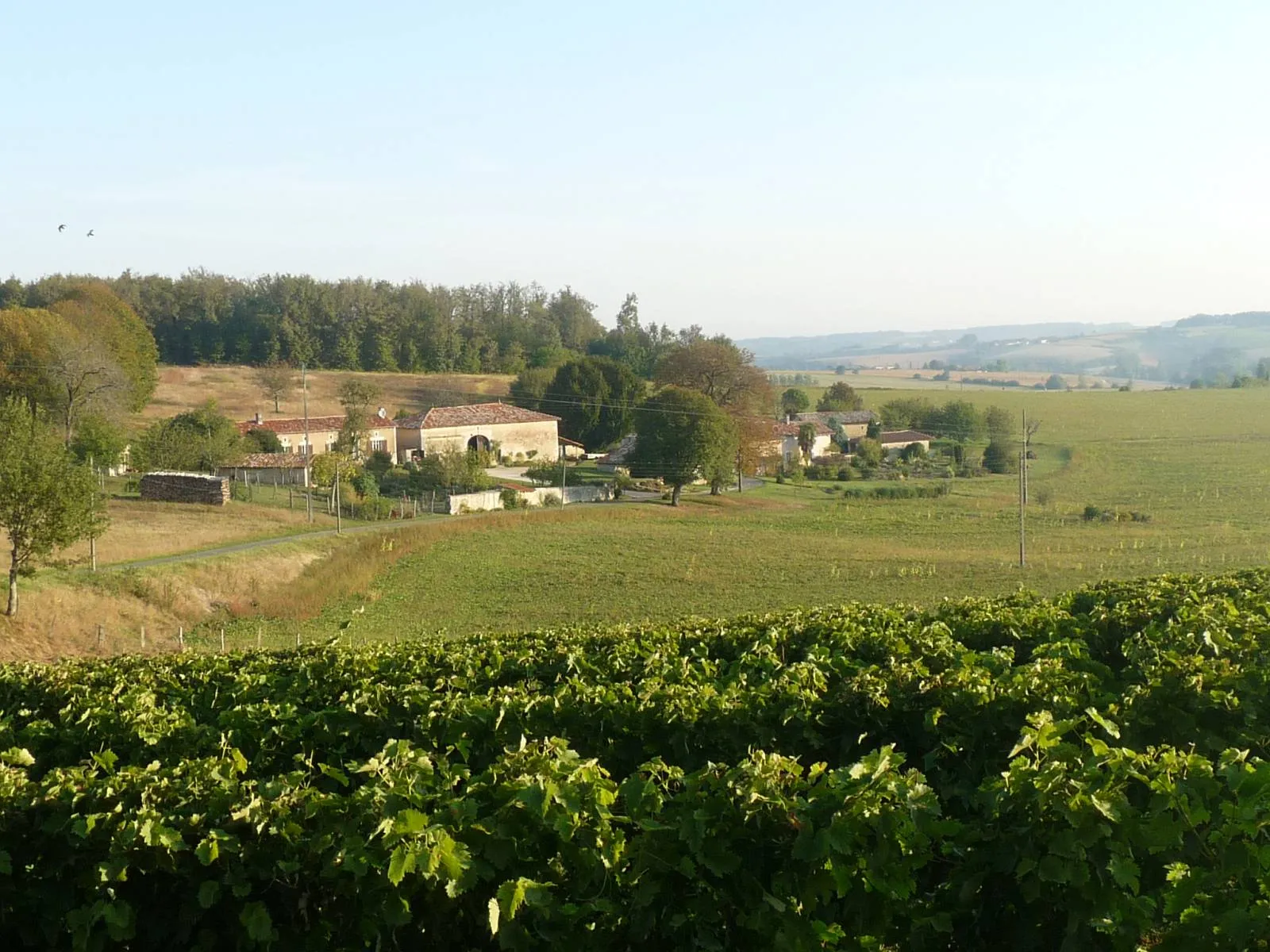 Photo showing: vue près de Bessac (16), France