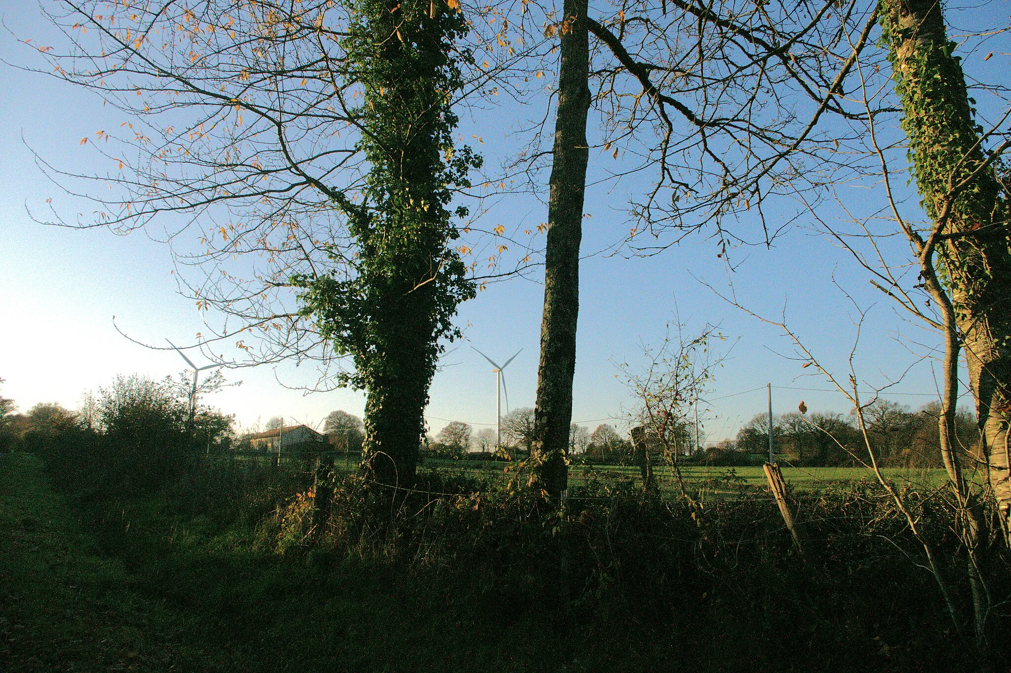 Photo showing: Parc éolien Les Landes sur les communes Saint-Bonnet-de-Bellac et Saint-Martial-sur-Isop, Haute-Vienne, Eoliennes de 200 m de haut, modèle Senvion  3.0M122. Au carrefour de la D48 vers Le Bignac