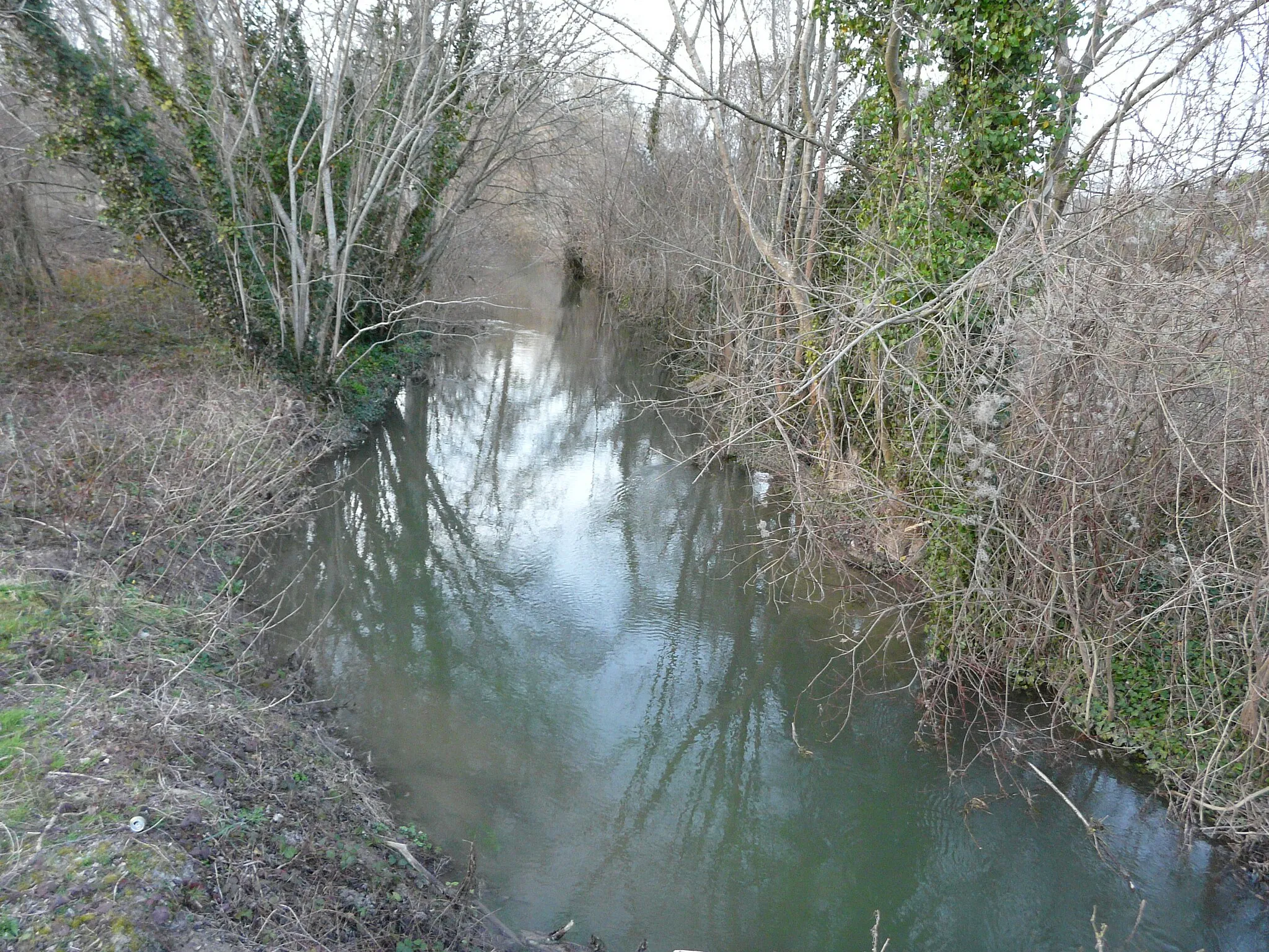 Photo showing: La Nouère en amont du pont de la route nationale 141, Asnières-sur-Nouère, Charente, France.