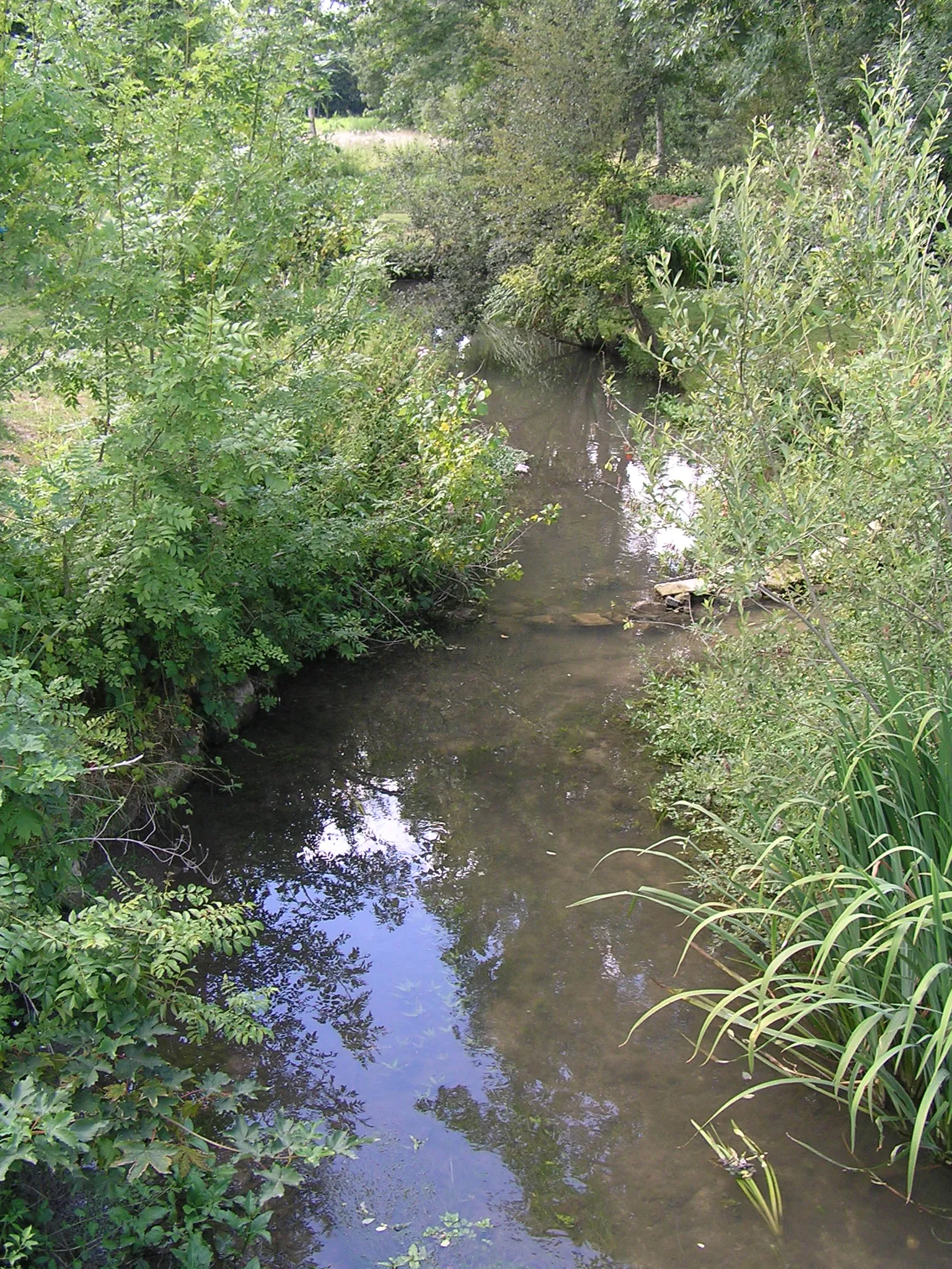 Photo showing: Le Trèfle à Guimps