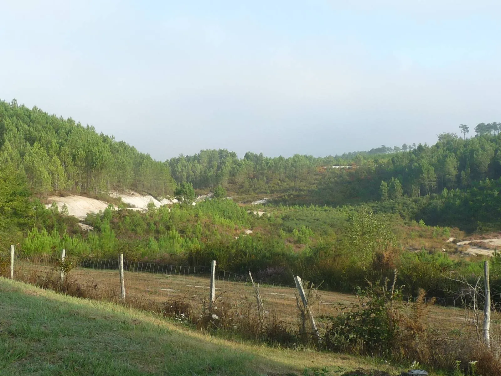 Photo showing: Double Forest at Guizengeard, Charente, SW France