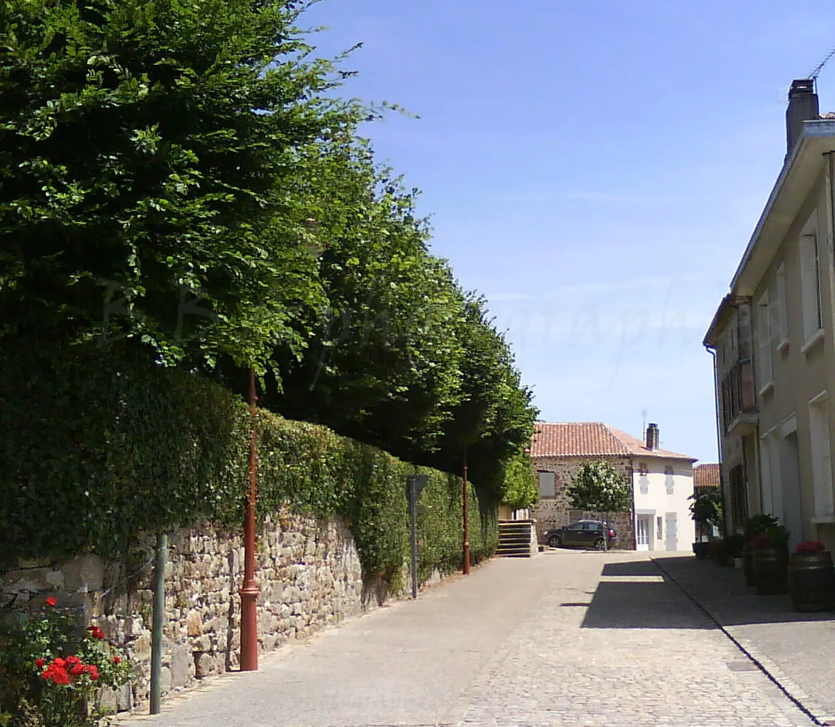 Photo showing: mur d'enceinte Sud, Chateau de Brillac