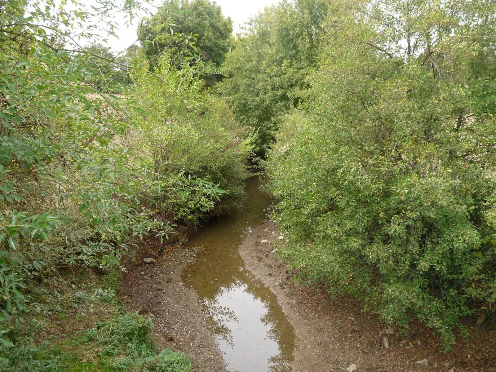 Photo showing: le Transon (ou Trançon) entre Pleuville et Benest, Charente, France