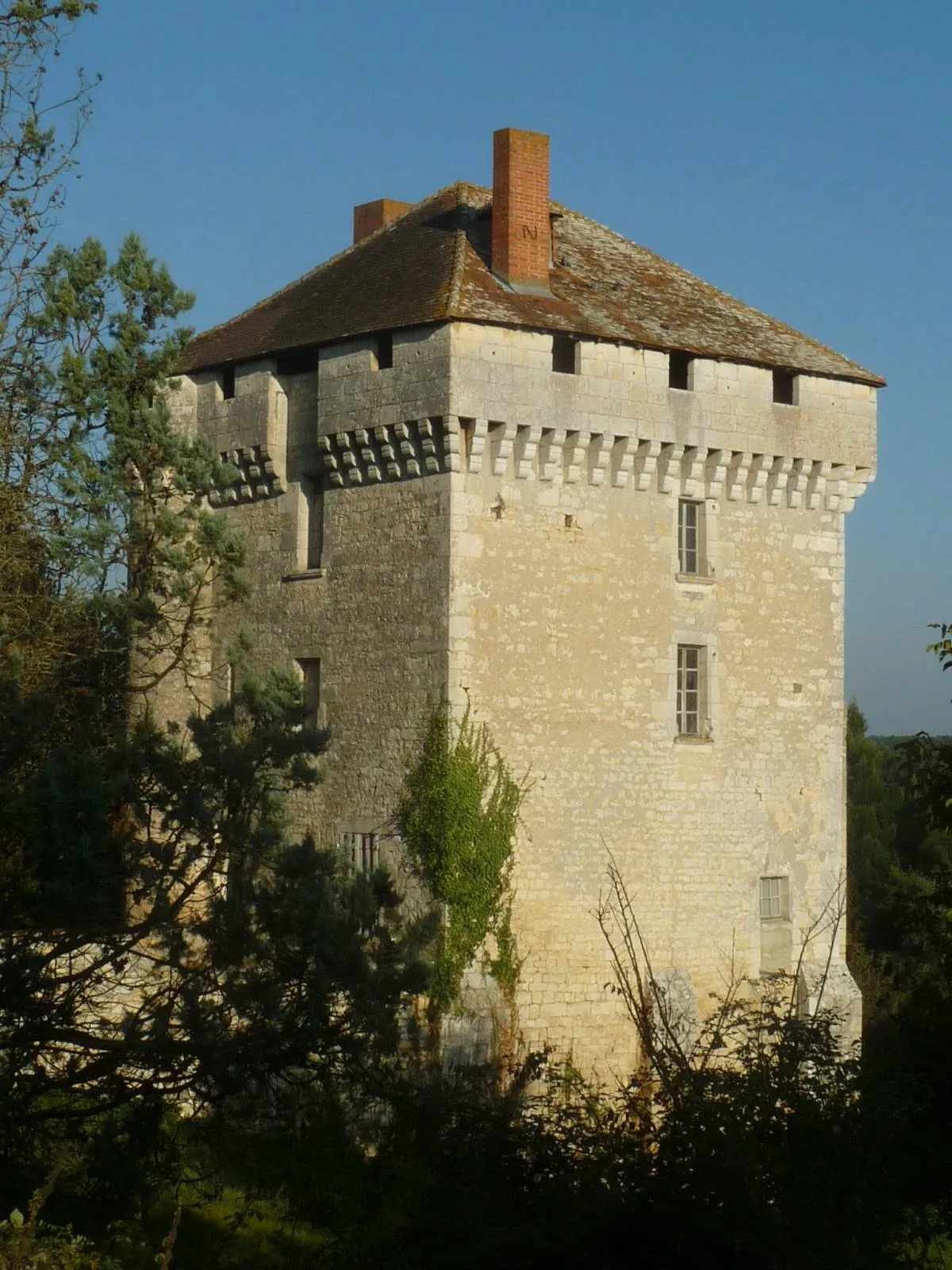 Photo showing: castle of Les Pins, Charente, SW France