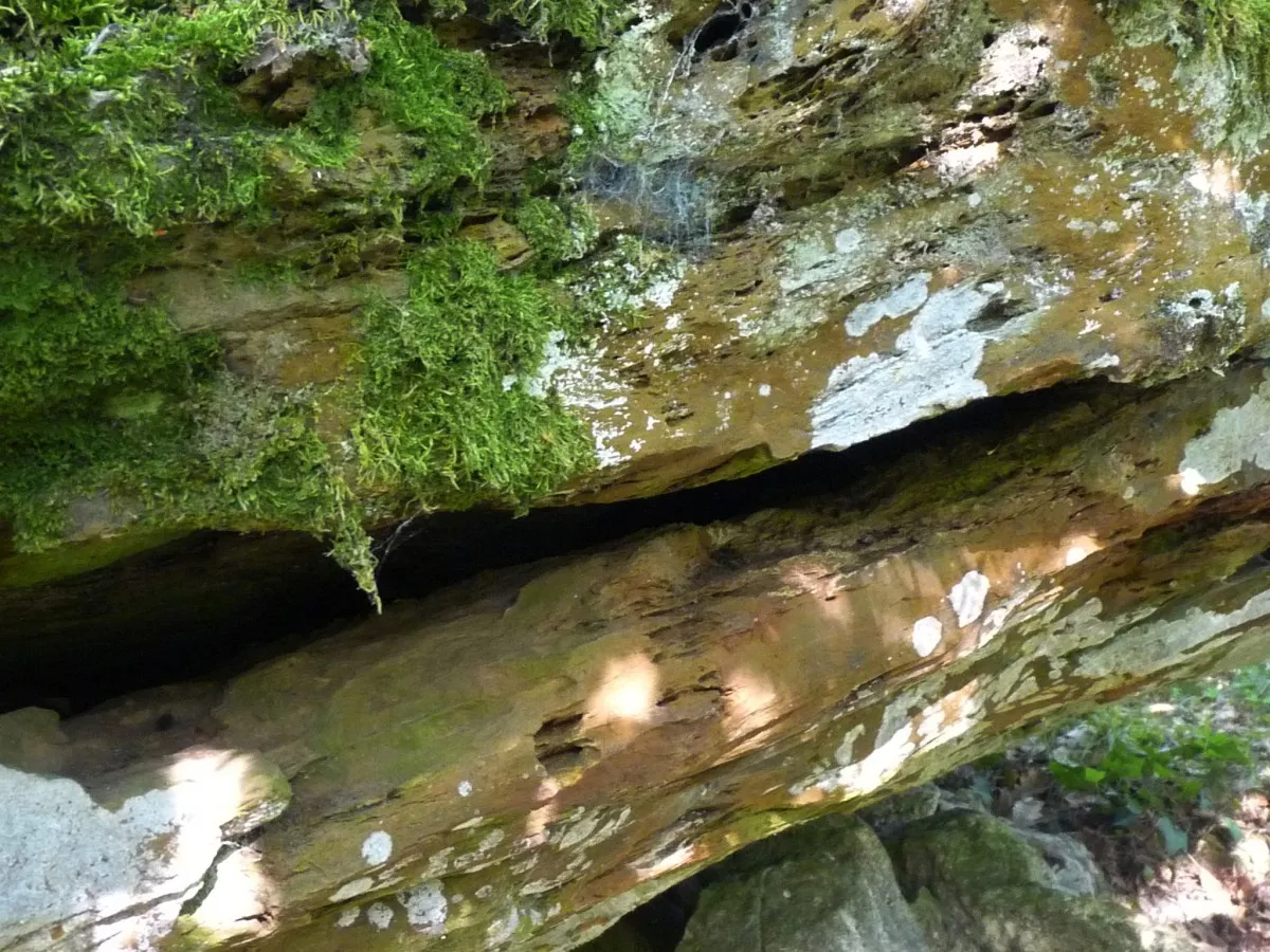 Photo showing: Iron trapped in Cretaceous limestone, forming tables