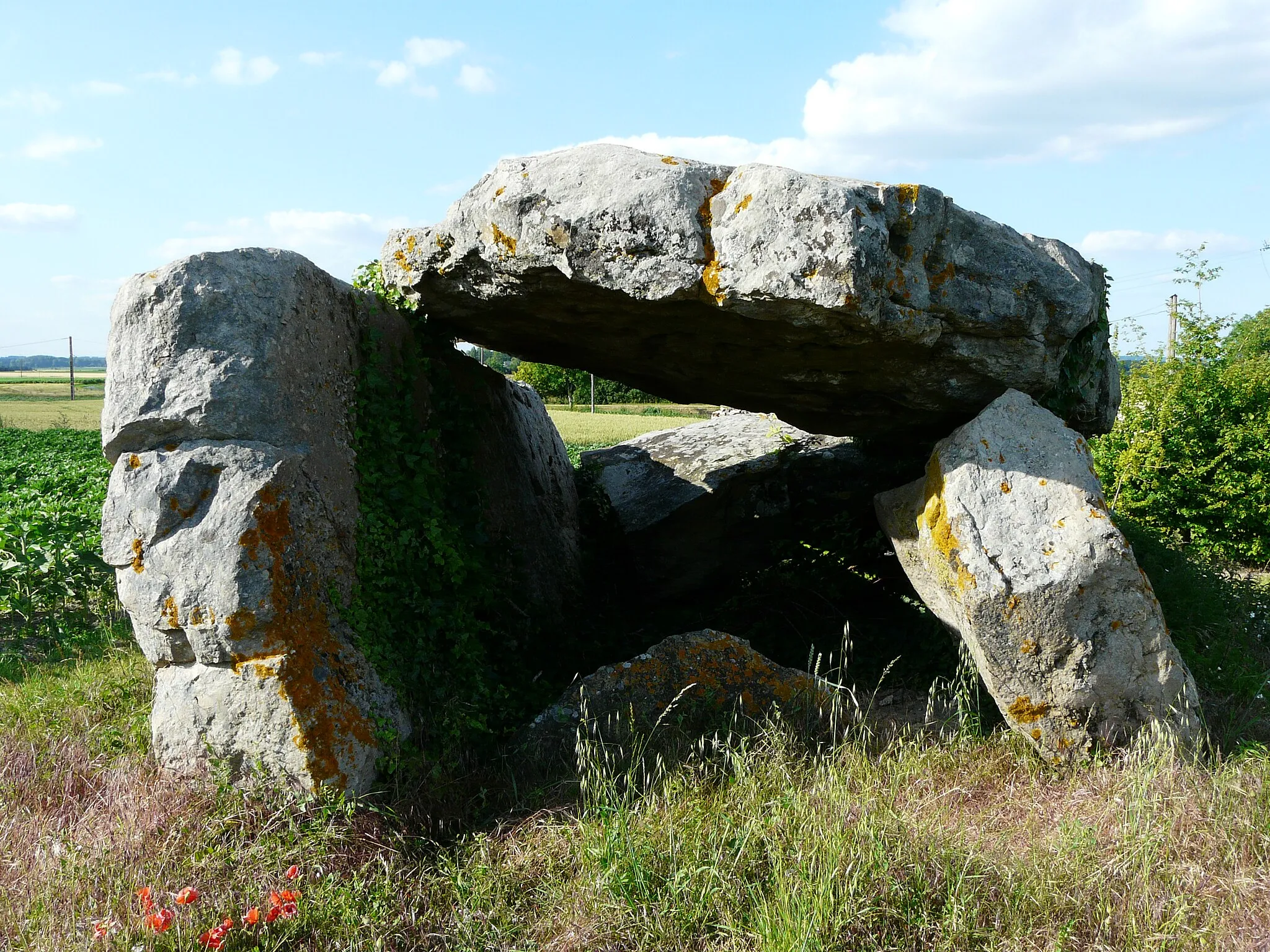 Photo showing: Dolmen de la Fontaine de Son n°1, Saint-Léger-de-Montbrillais, Vienne, France