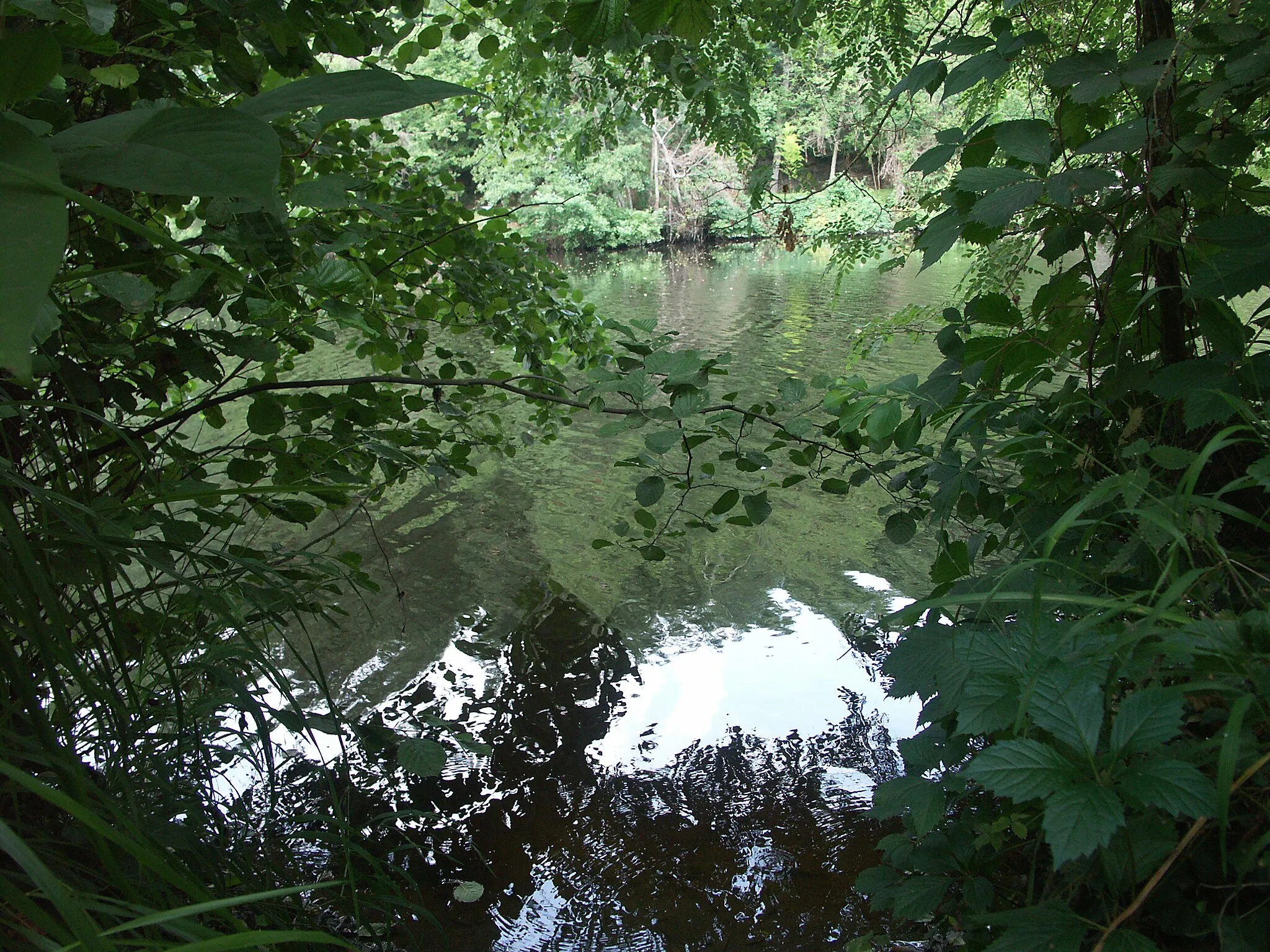 Photo showing: Gartempe, Vienne