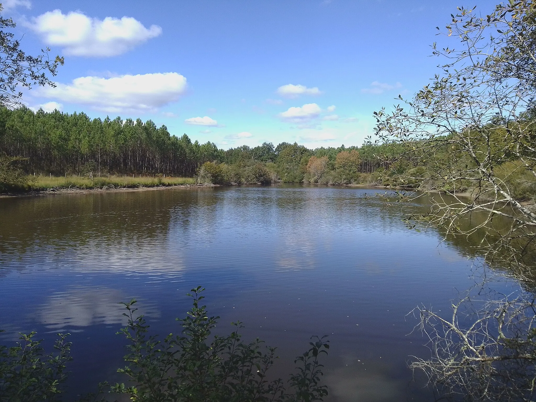 Photo showing: Etang du Maine-Baillou, vue depuis la digue.