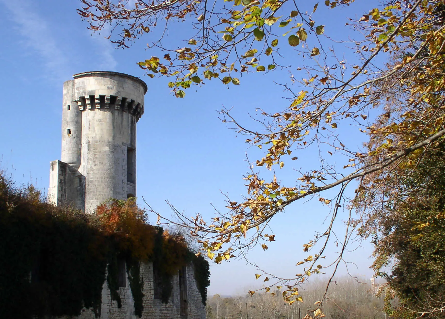 Photo showing: Château de Taillebourg