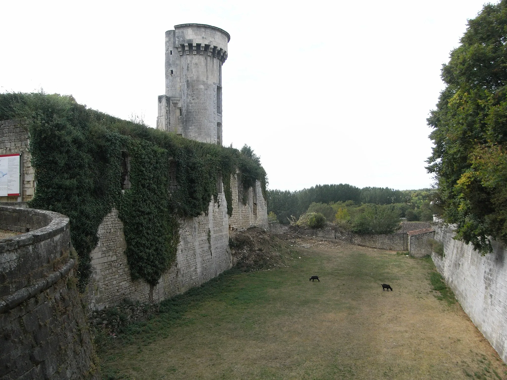 Photo showing: Château de Taillebourg en Charente-Maritime (France)