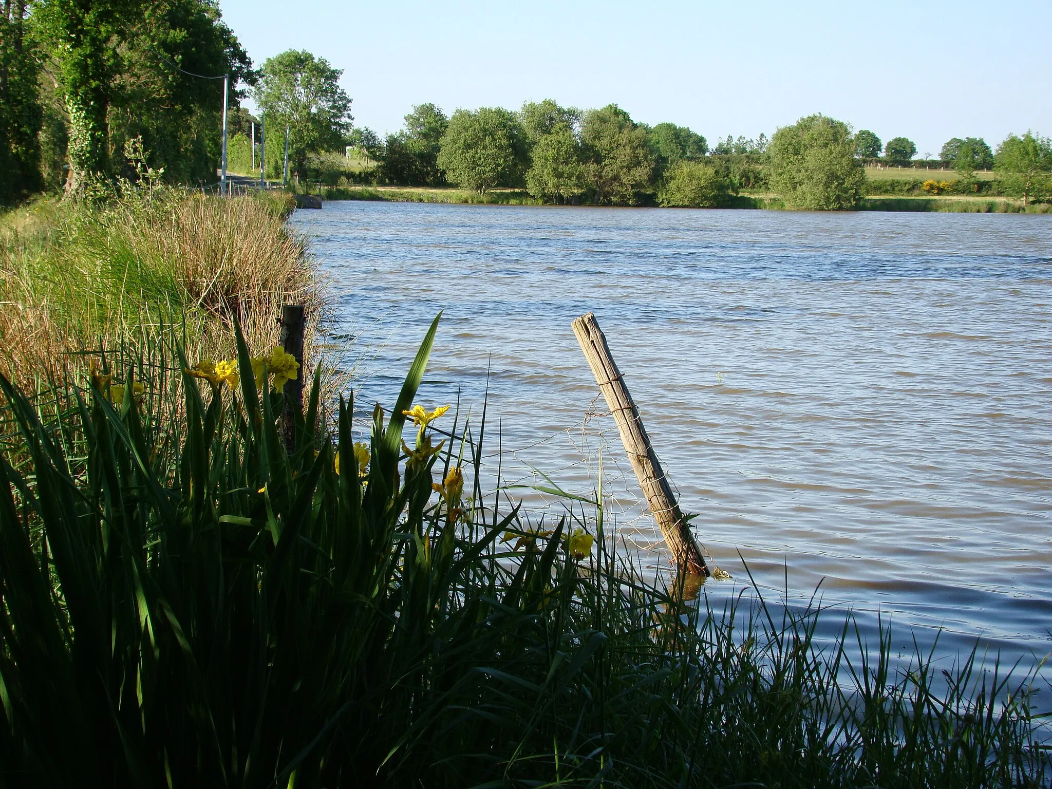 Photo showing: l'étang de l'Ajonc à Noirterre (Deux-Sèvres - France)