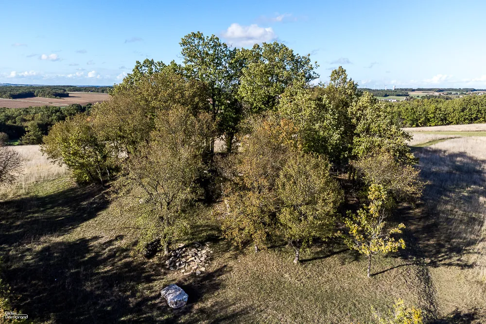 Photo showing: Vue d'ensemble du site