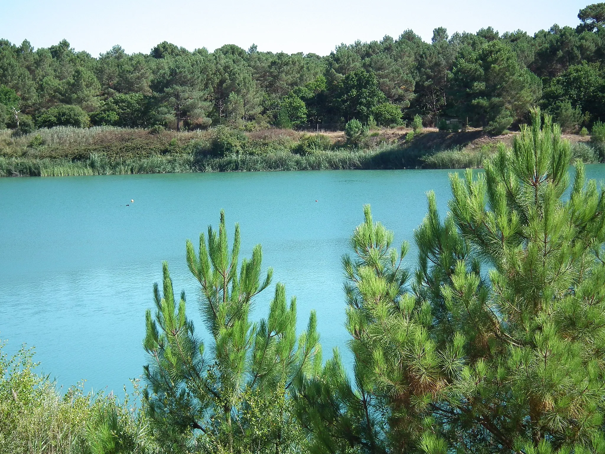 Photo showing: L'étang de la combe aux loups à Saint-Augustin