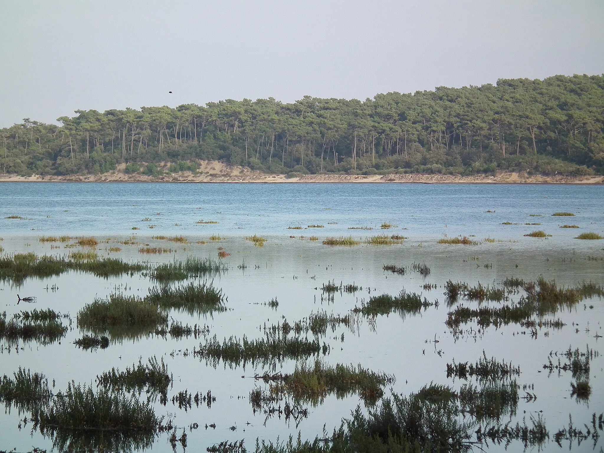 Photo showing: Marais du Galon d'Or