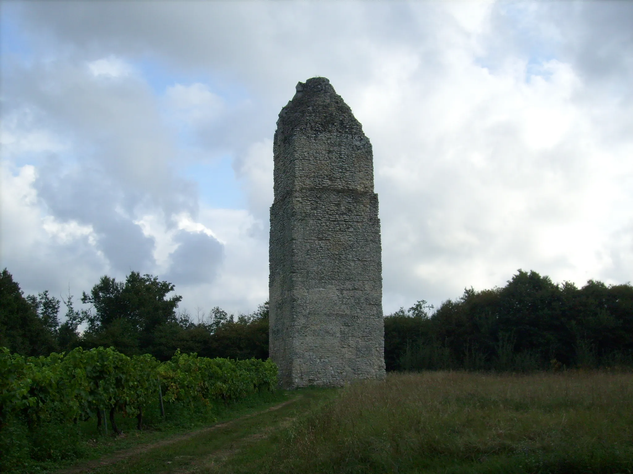 Photo showing: La tour de Pirelonge à Saint-Romain de Benet