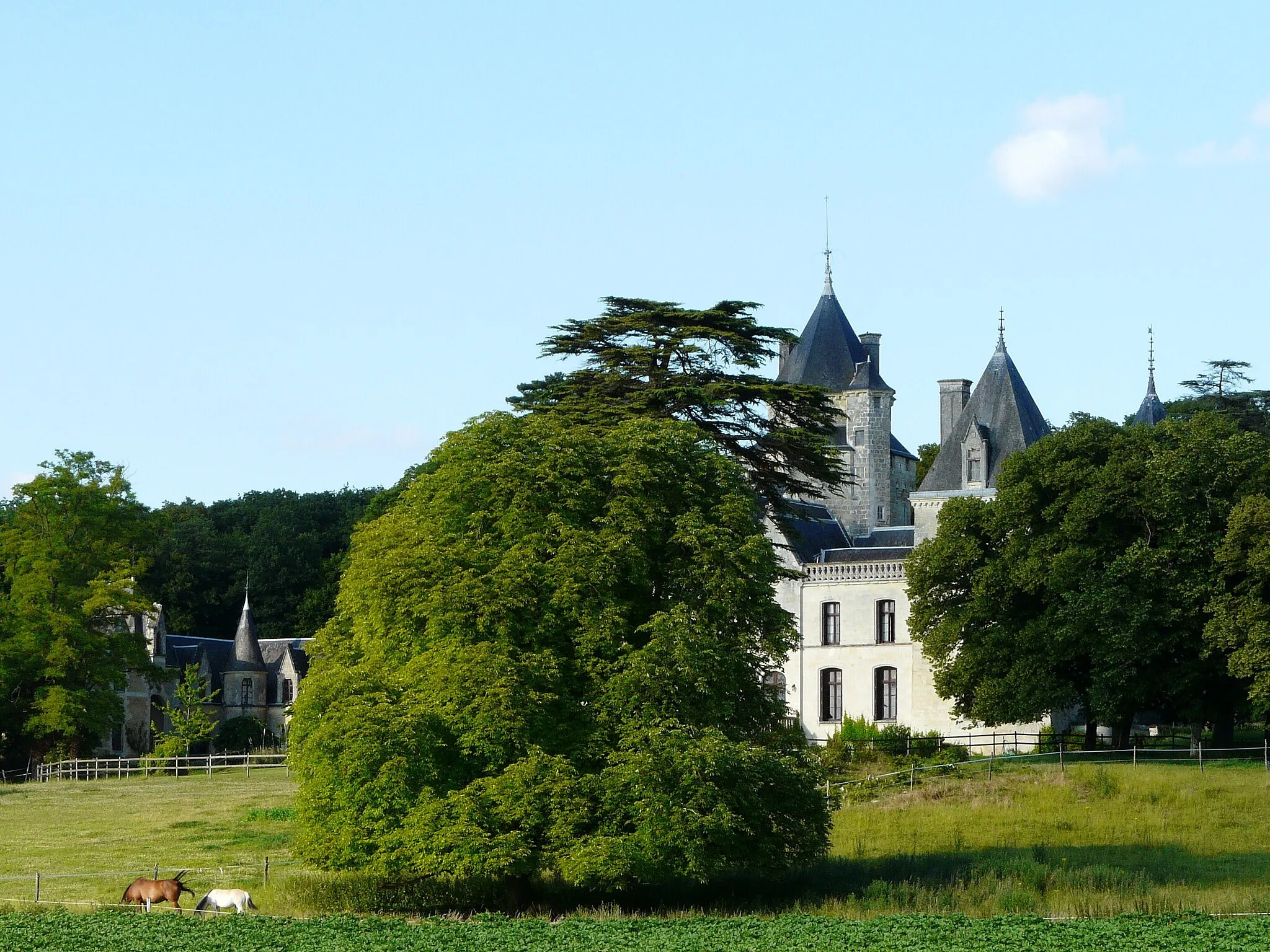 Photo showing: Le château de Ternay, Vienne, France