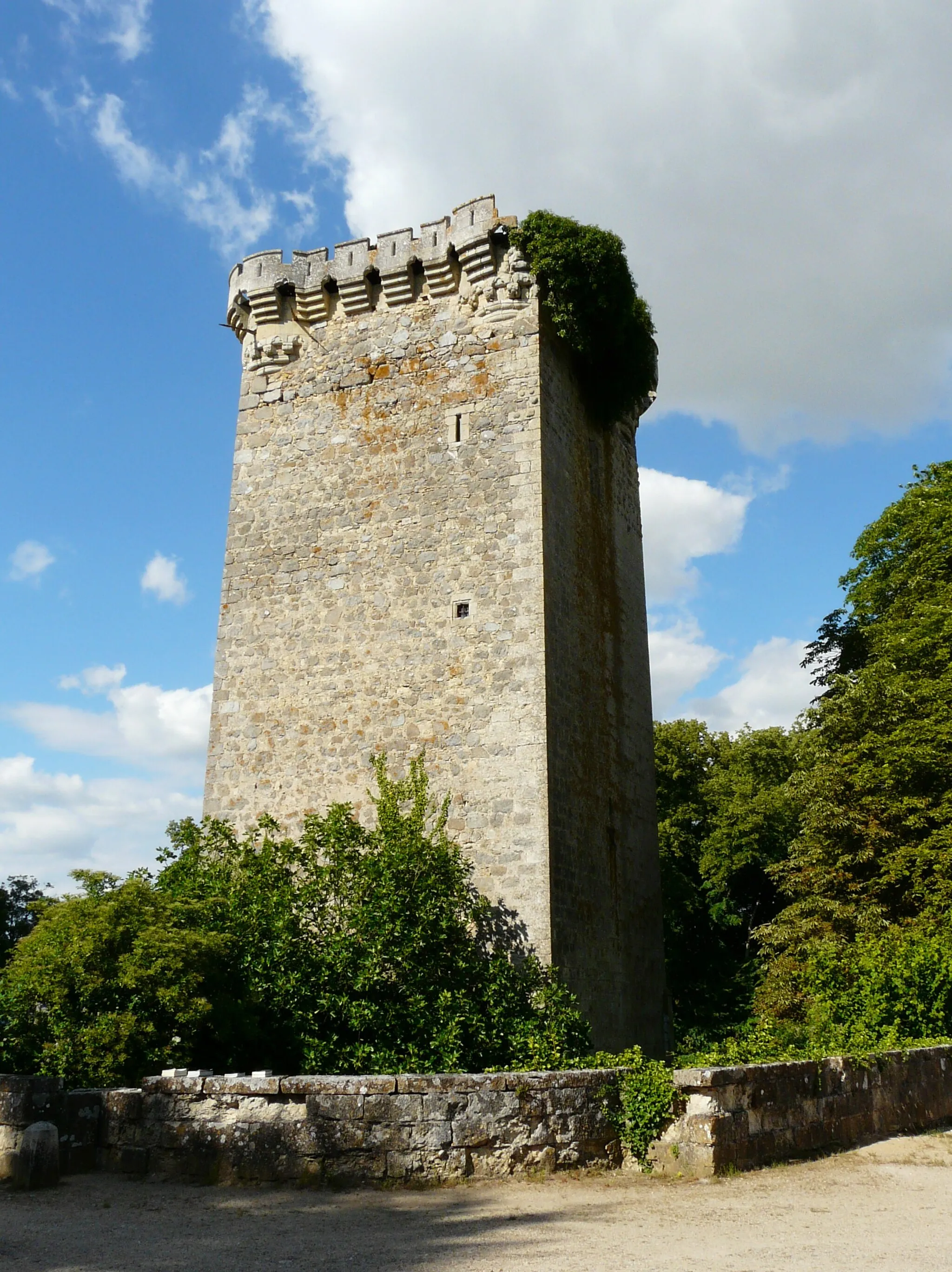 Photo showing: Le donjon du vieux château, château de Saint-Loup-sur-Thouet, Saint-Loup-Lamairé, Deux-Sèvres, France