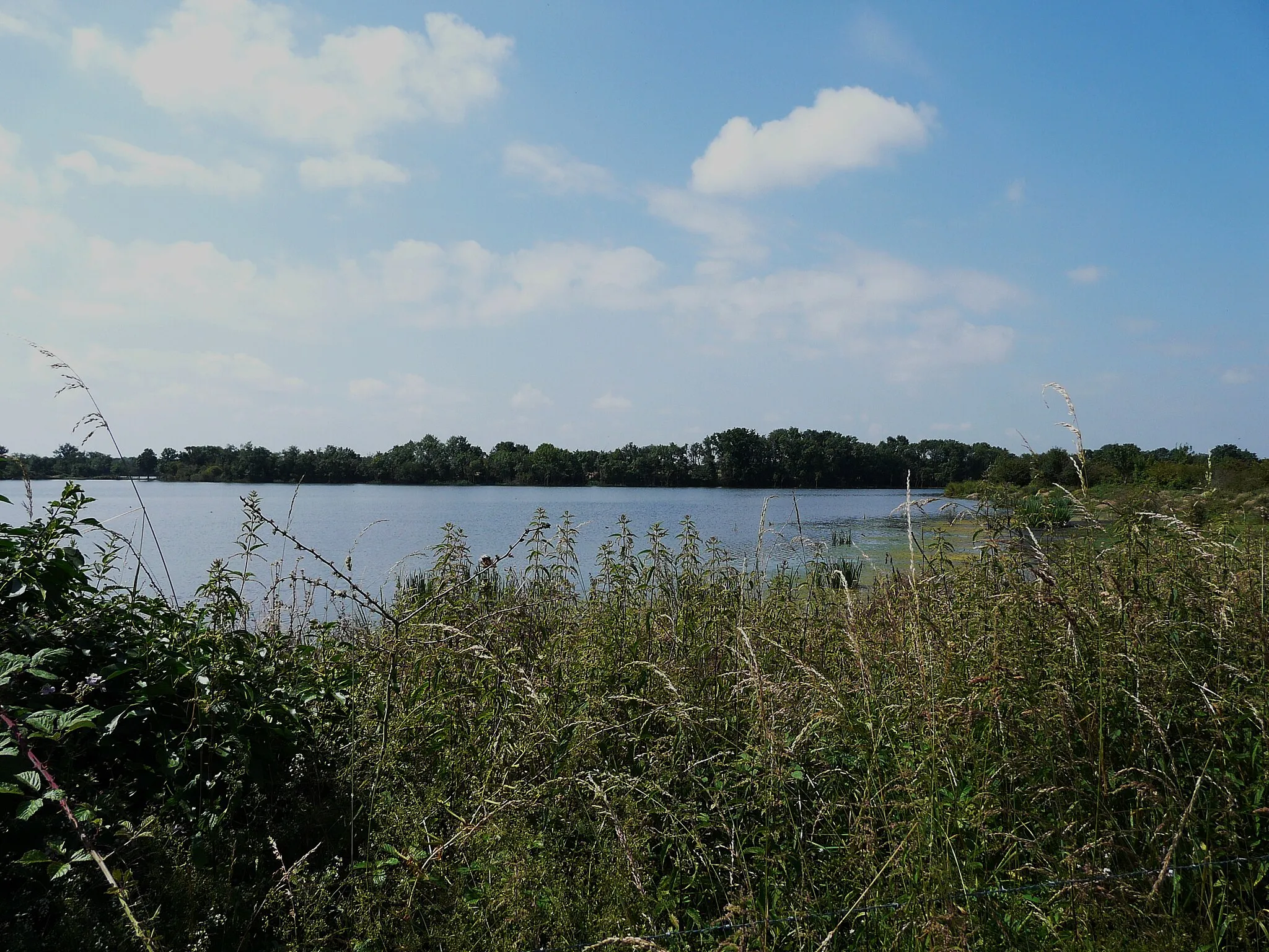 Photo showing: L'étang de Juigny à Mauzé-Thouarsais