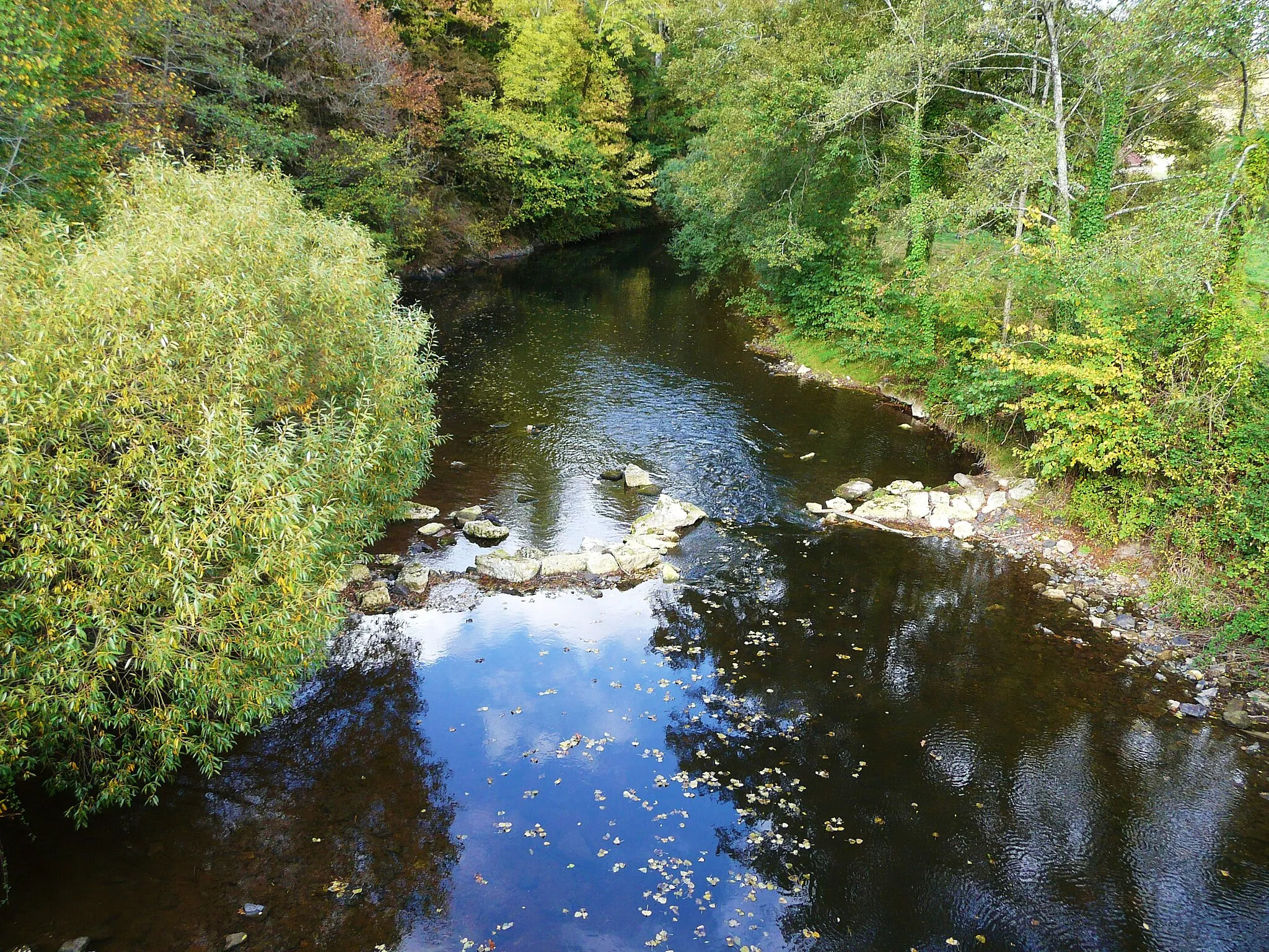 Photo showing: La Tardoire en aval du pont de Menet, Montbron, Charente, France